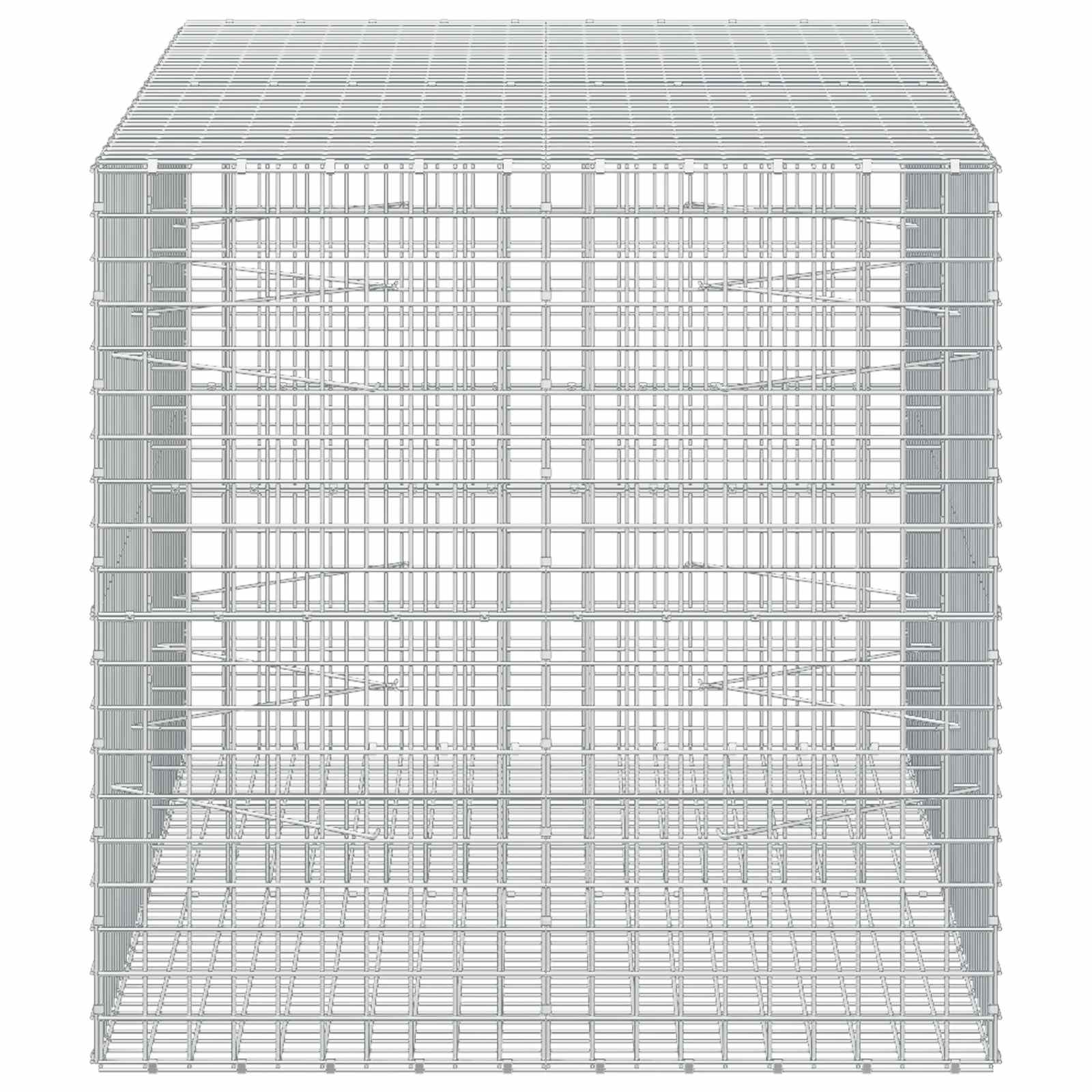 Gabion z žico 3,5 mm in mrežo 5x5 cm 200x100x100 cm