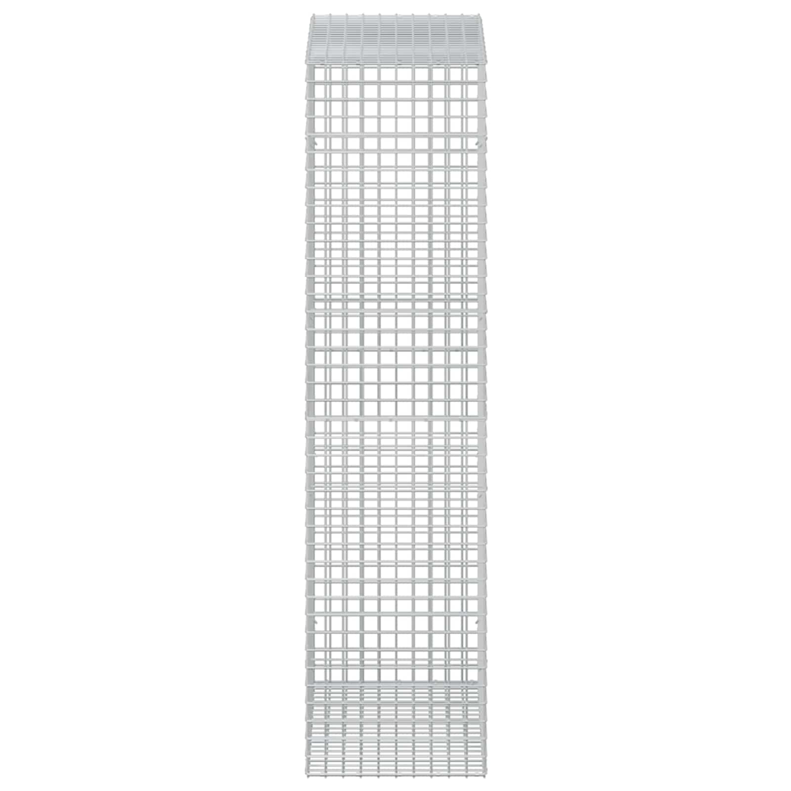 Gabion z žico 3,5 mm in mrežo 5x5 cm 50x100x200 cm