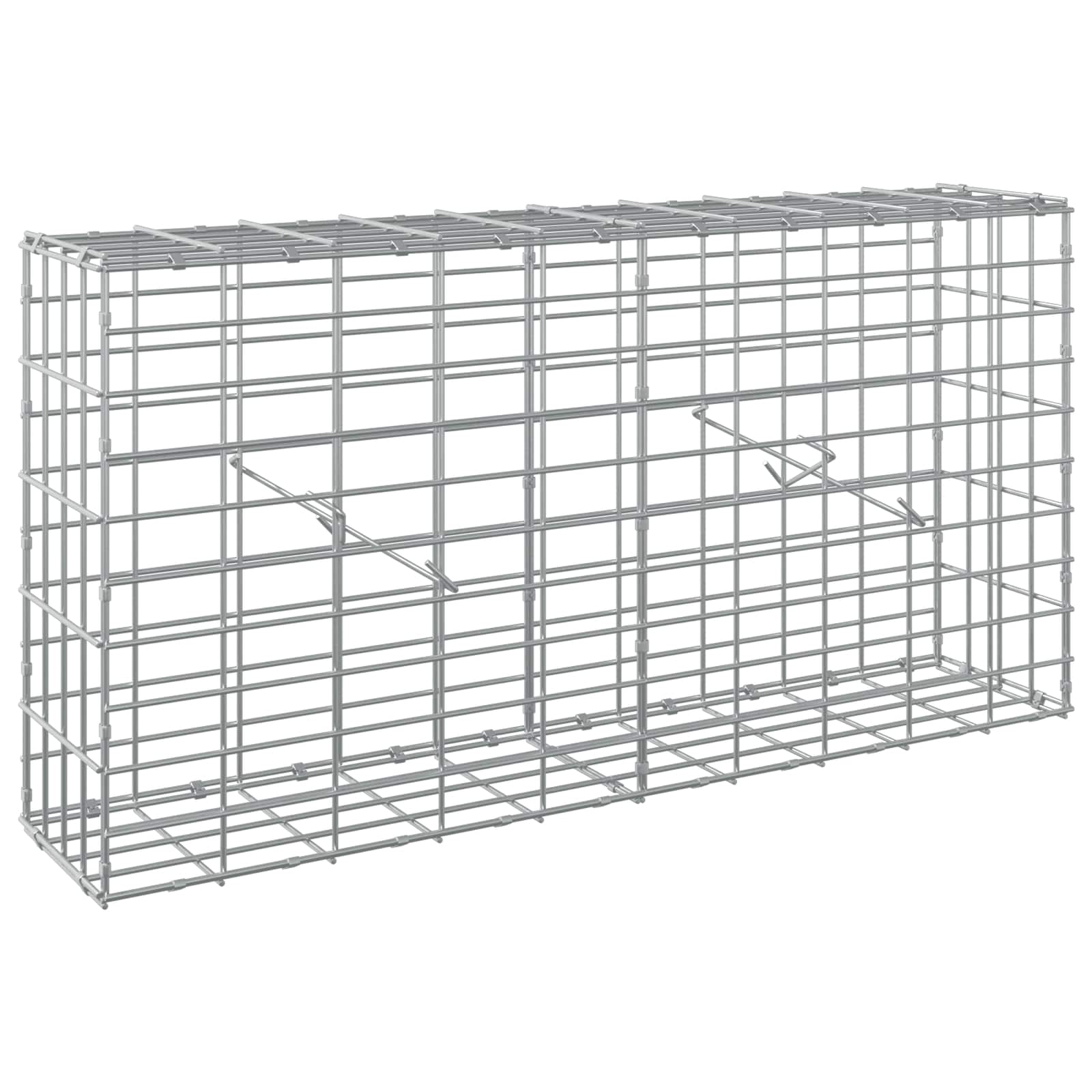 Gabion z 3,5 mm žico in 5x10 cm mrežo 100x20x50 cm