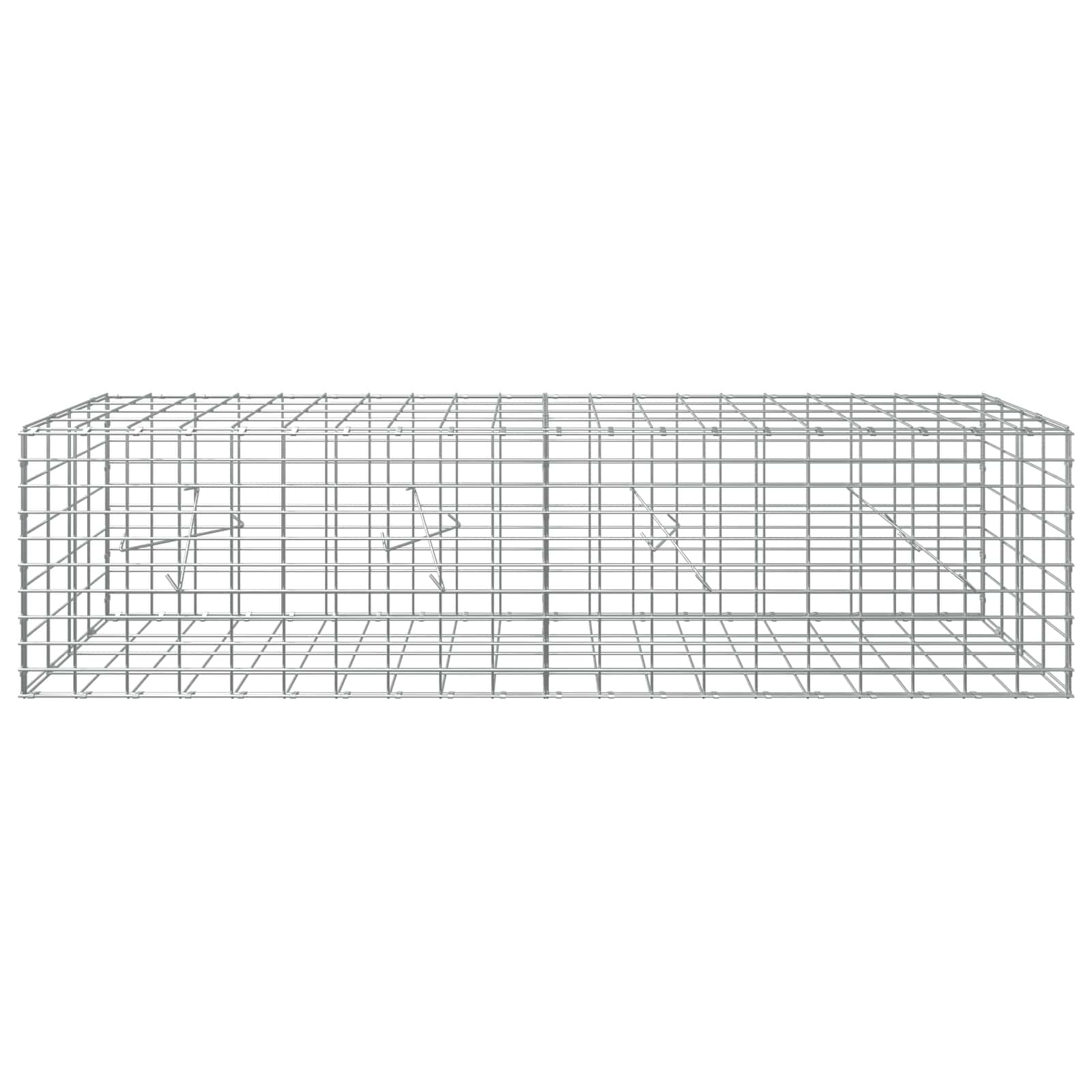 Gabion z 3,5 mm žico in 5x10 cm mrežo 200x20x50 cm