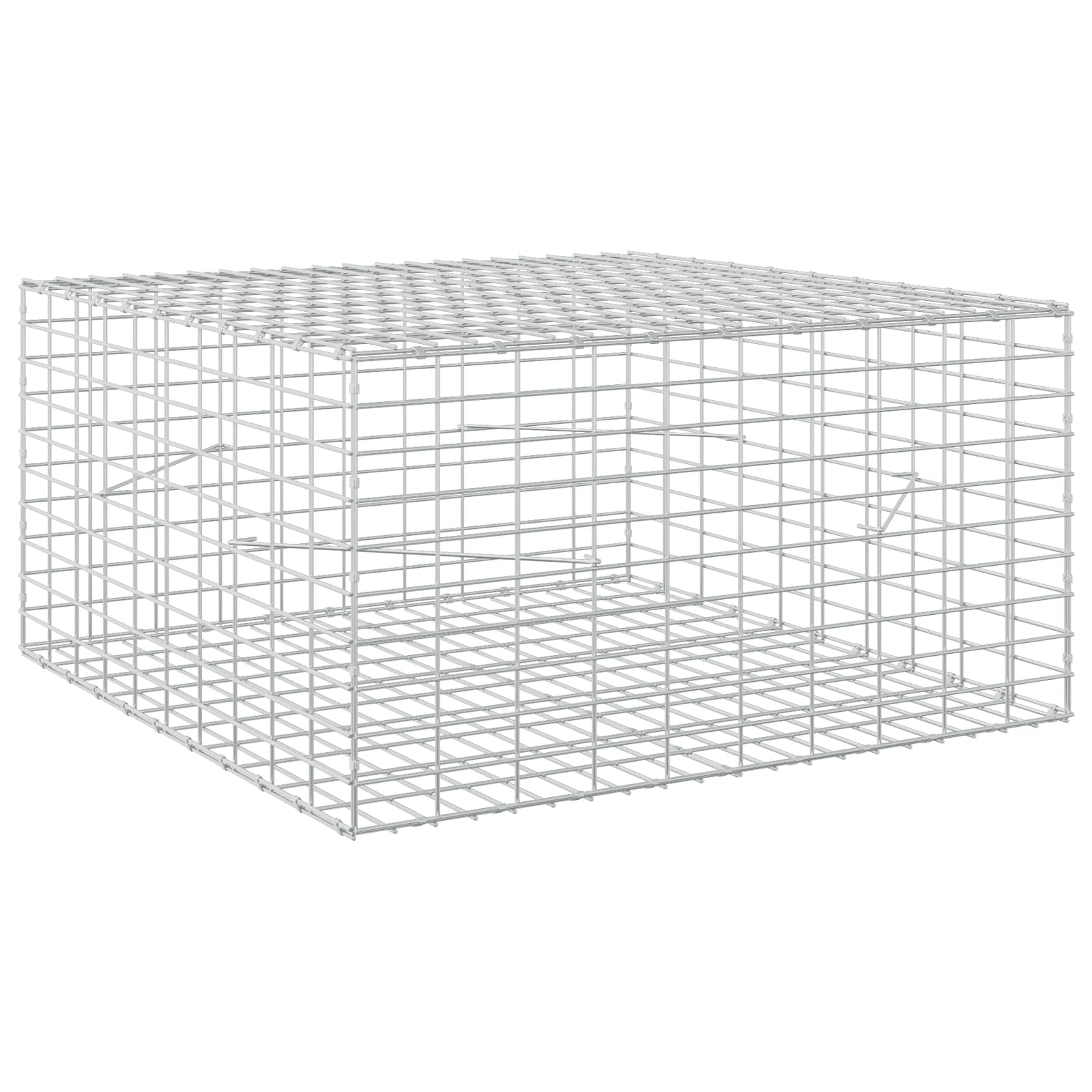 Gabion z 3,5 mm žico in 5x10 cm mrežo 100x100x50 cm