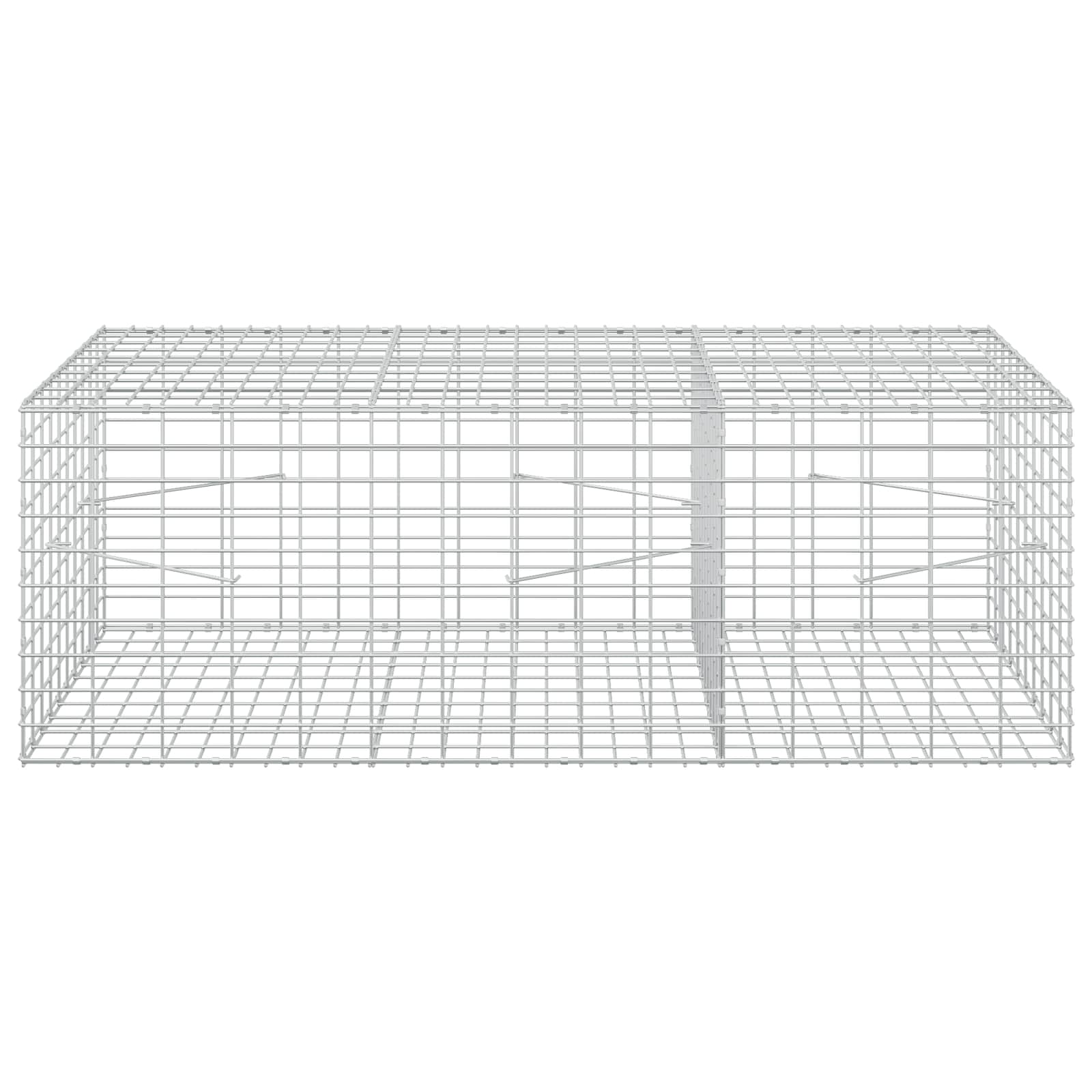 Gabion z 3,5 mm žico in 5x10 cm mrežo 150x100x50 cm