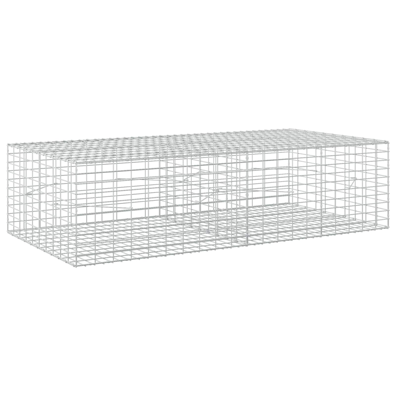 Gabion z 3,5 mm žico in 5x10 cm mrežo 200x100x50 cm