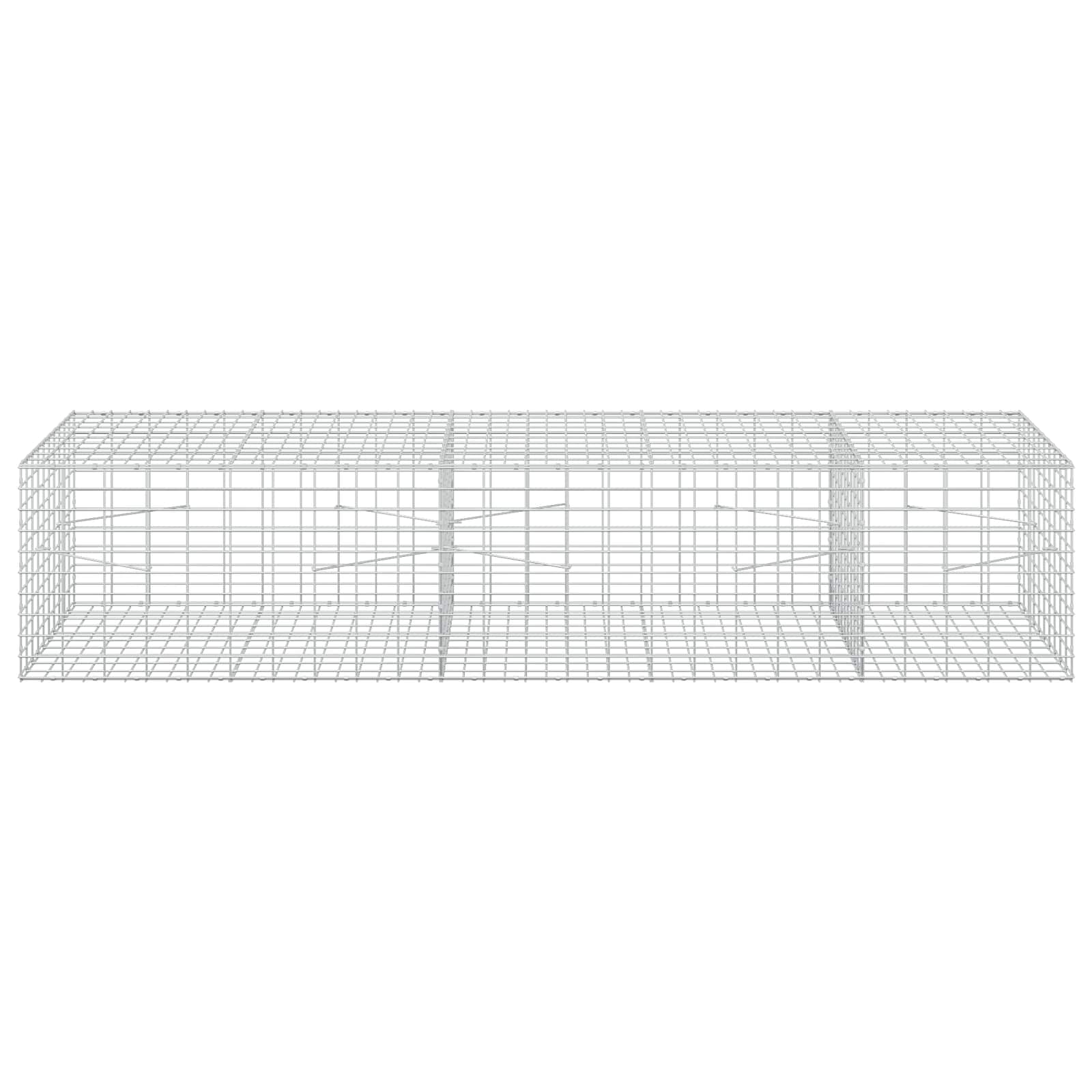 Gabion z 3,5 mm žico in 5x10 cm mrežo 250x100x50 cm