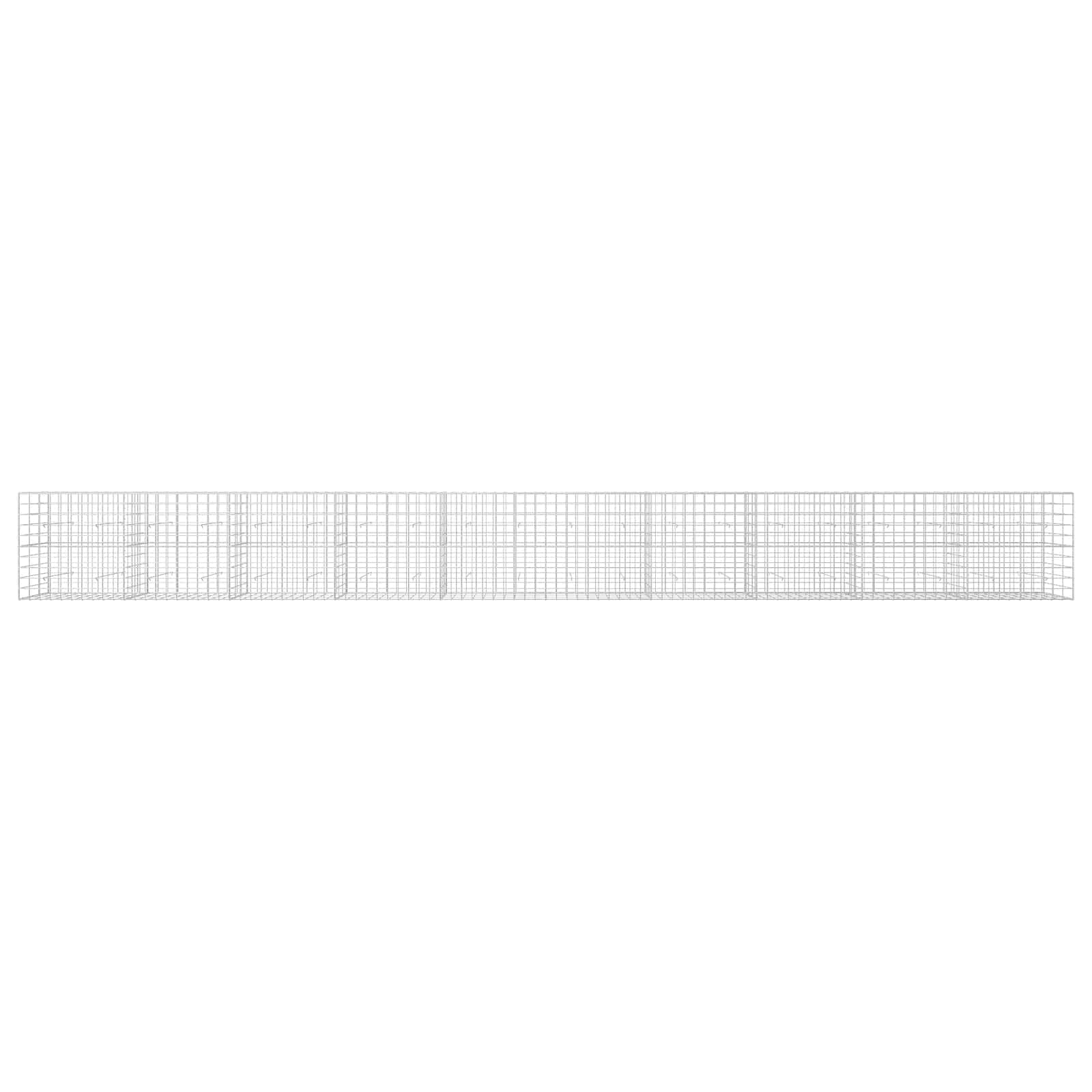 Gabion z žico 3,5 mm in mrežo 10x10 cm 1000x30x100 cm