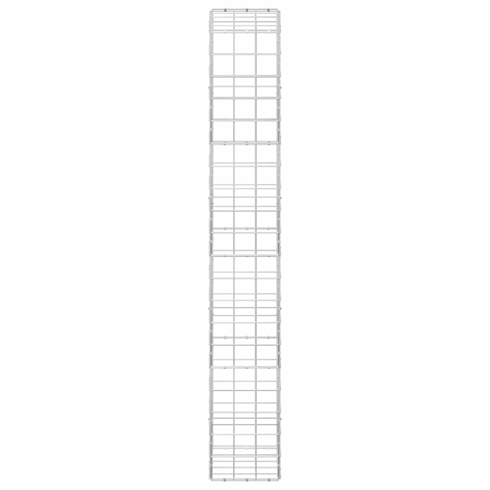 Gabion z žico 3,5 mm in mrežo 10x10 cm 50x30x200 cm