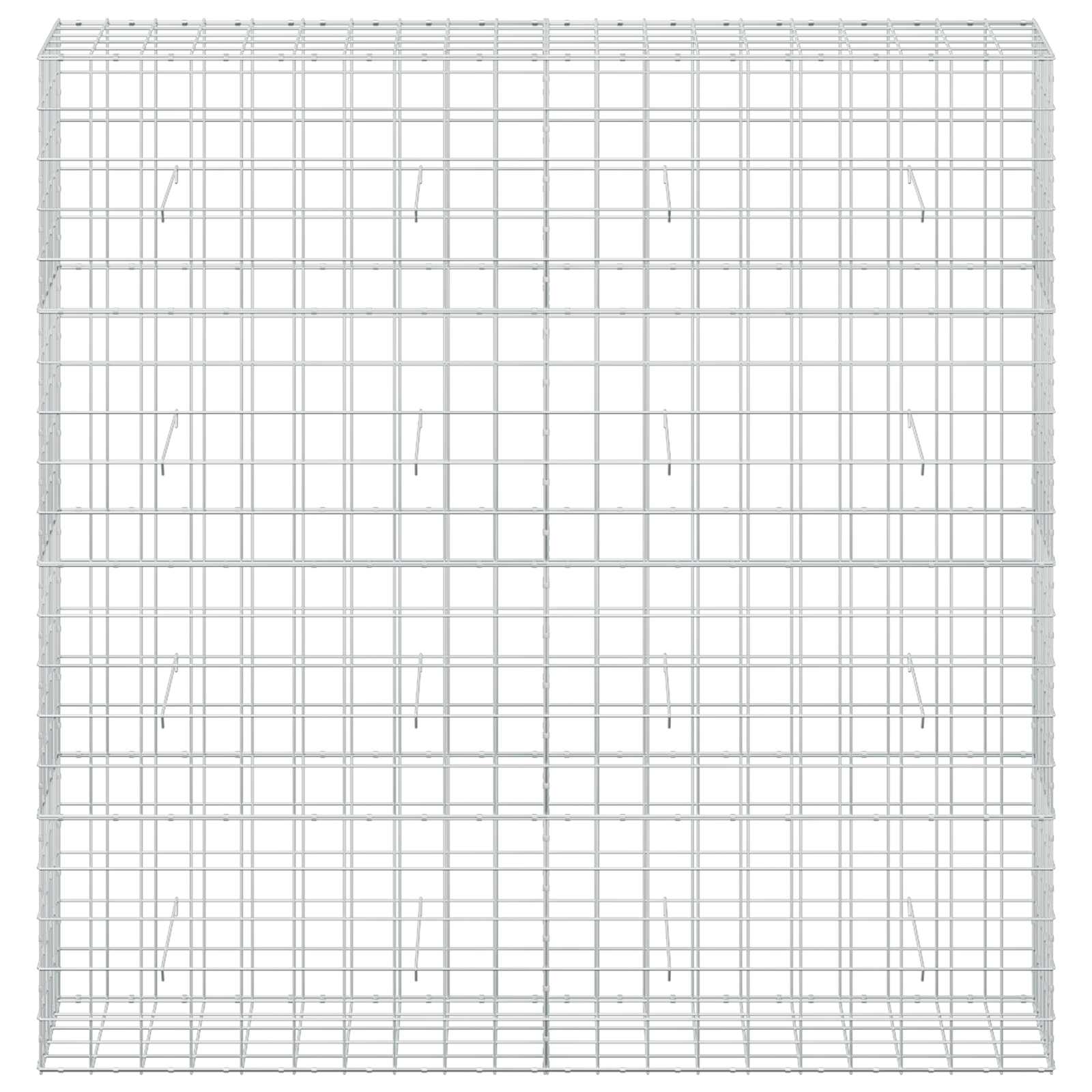 Gabion z žico 3,5 mm in mrežo 10x10 cm 200x50x200 cm