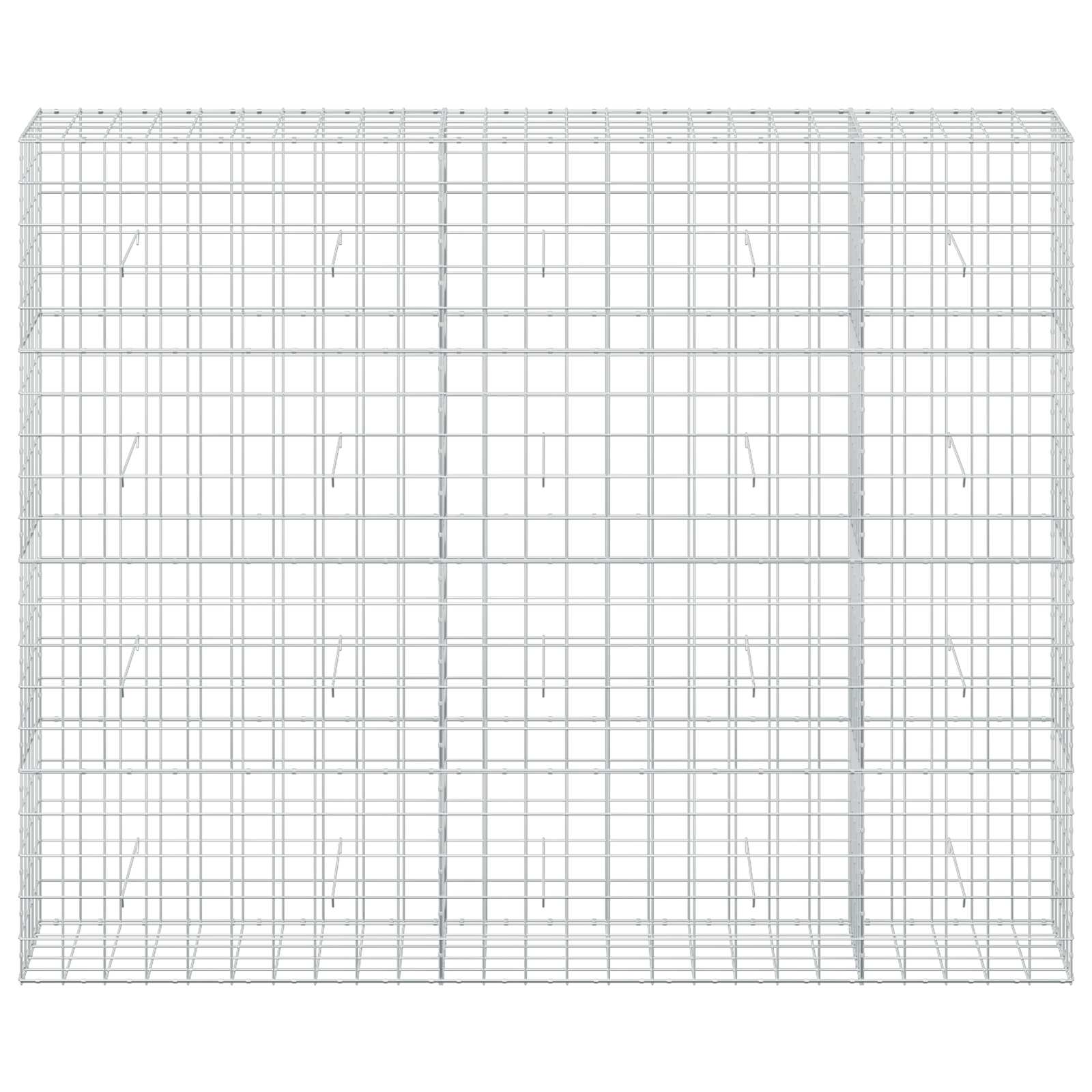 Gabion z žico 3,5 mm in mrežo 10x10 cm 250x50x200 cm