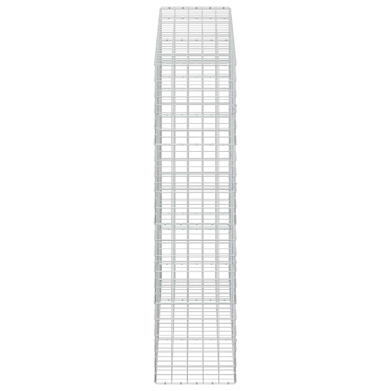 Gabion z žico 3,5 mm in mrežo 10x10 cm 250x50x200 cm