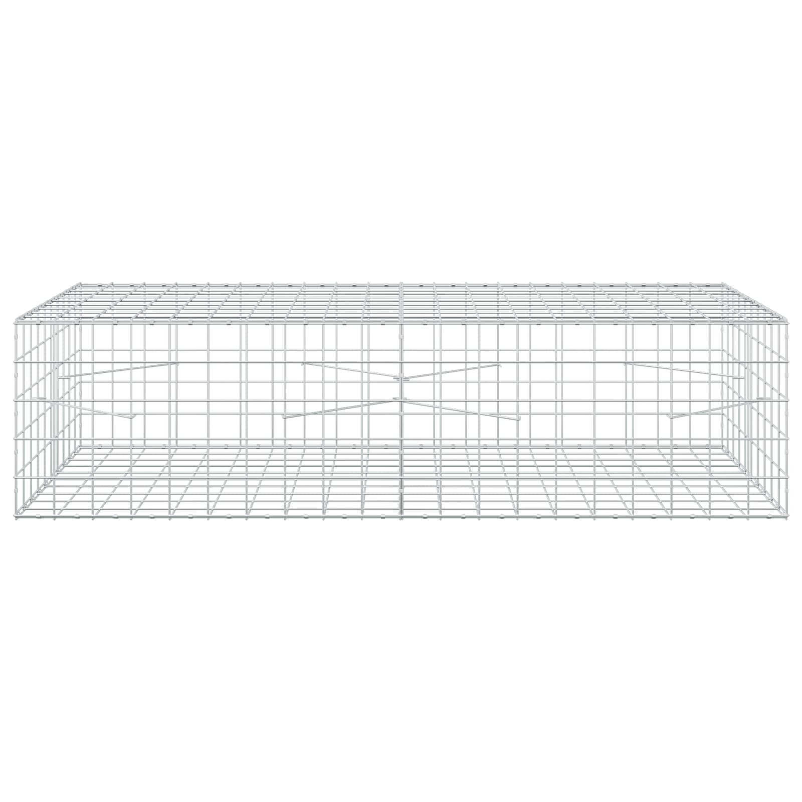Γκαμπιόν με σύρμα 3,5 mm και πλέγμα 10x10 cm 200x100x50 εκ - Image 3