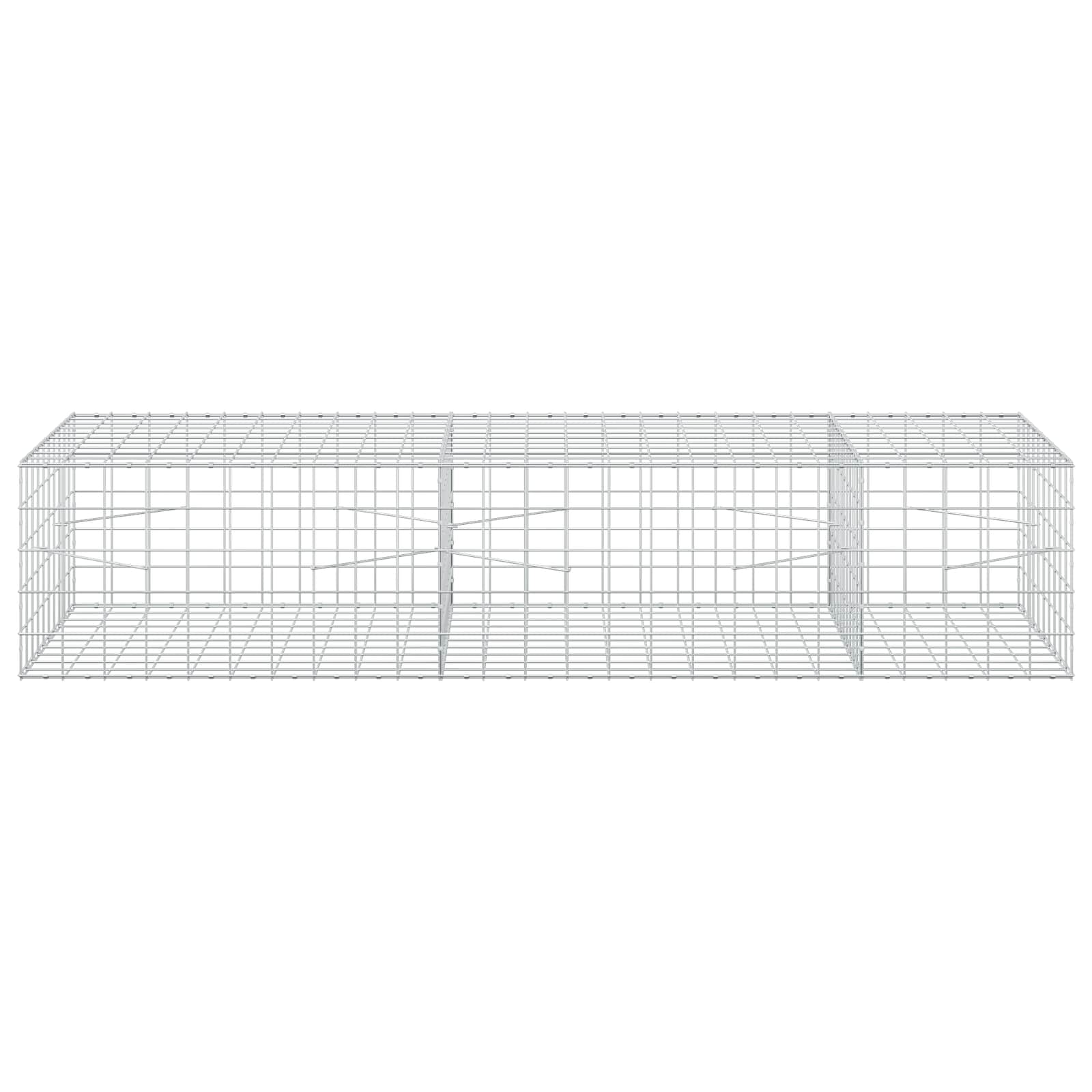 Gabion z žico 3,5 mm in mrežo 10x10 cm 250x100x50 cm