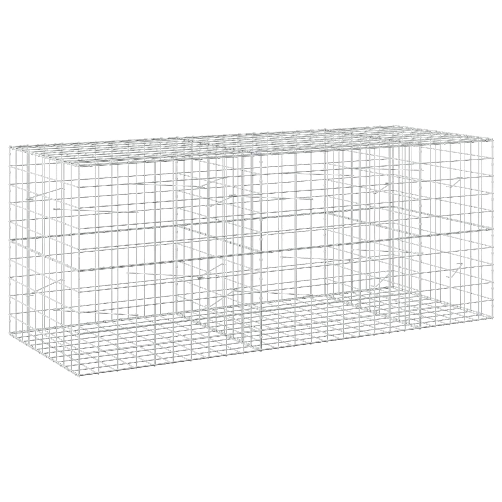 Gabion z žico 3,5 mm in mrežo 10x10 cm 250x100x100 cm