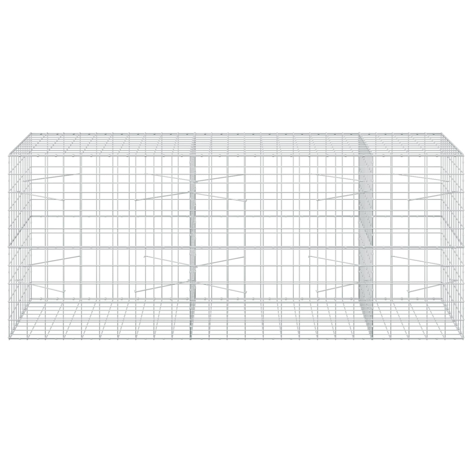 Gabion z žico 3,5 mm in mrežo 10x10 cm 250x100x100 cm