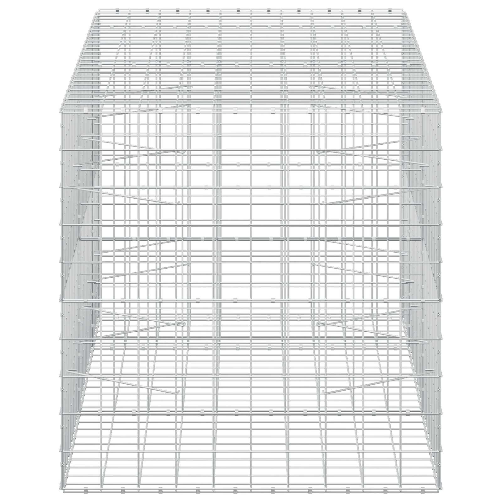 Gabion z žico 3,5 mm in mrežo 10x10 cm 250x100x100 cm