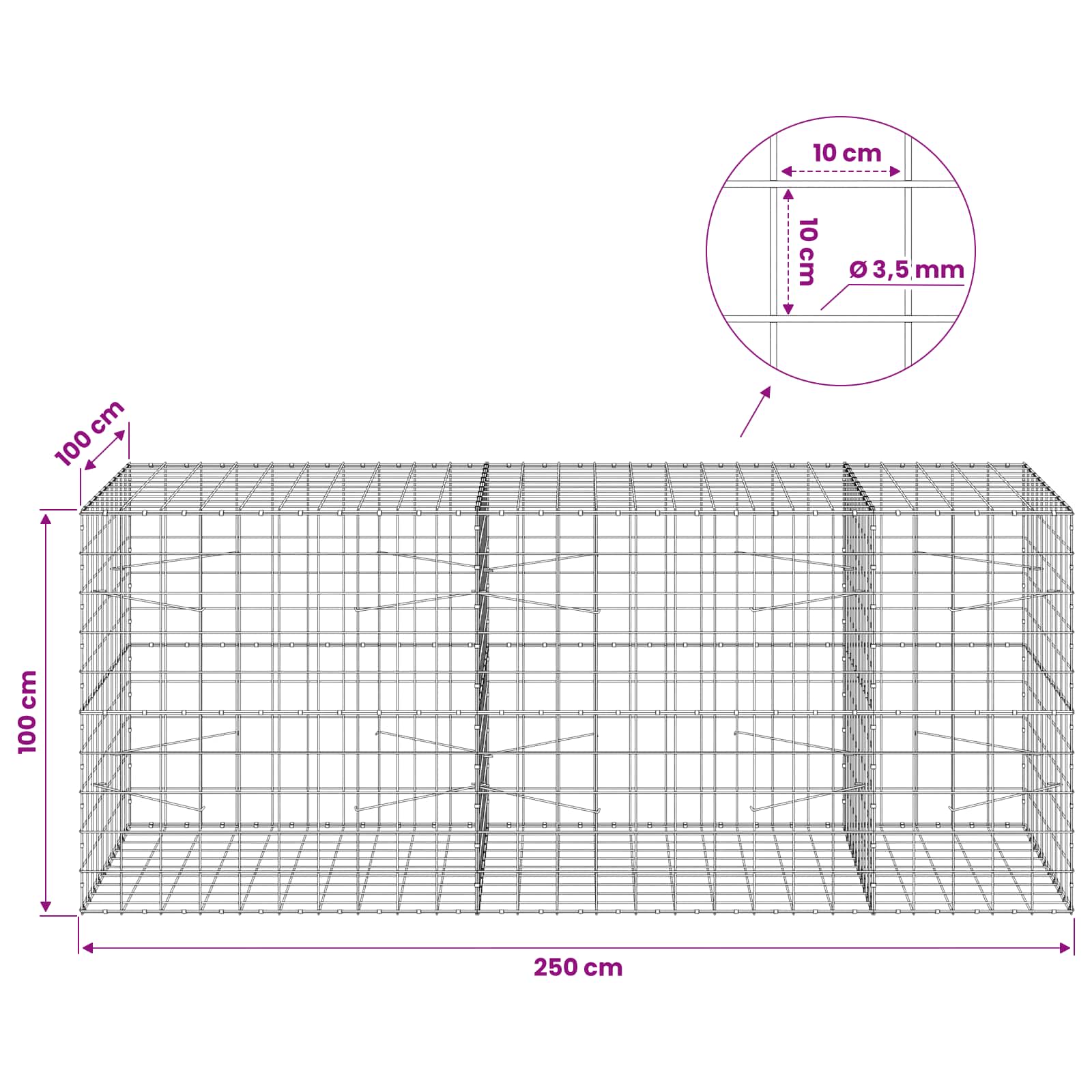 Gabion z žico 3,5 mm in mrežo 10x10 cm 250x100x100 cm