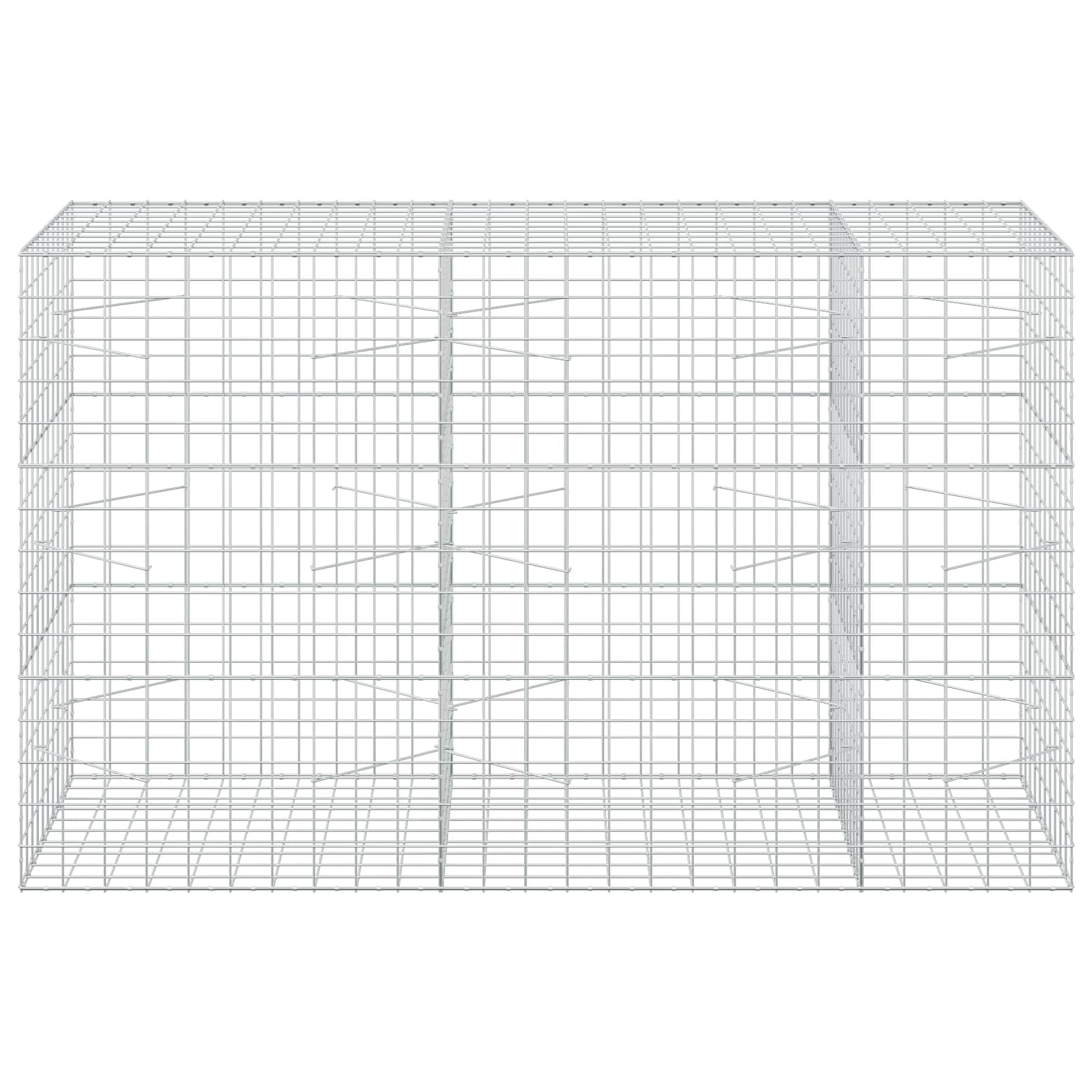 Gabion z žico 3,5 mm in mrežo 10x10 cm 250x100x150 cm