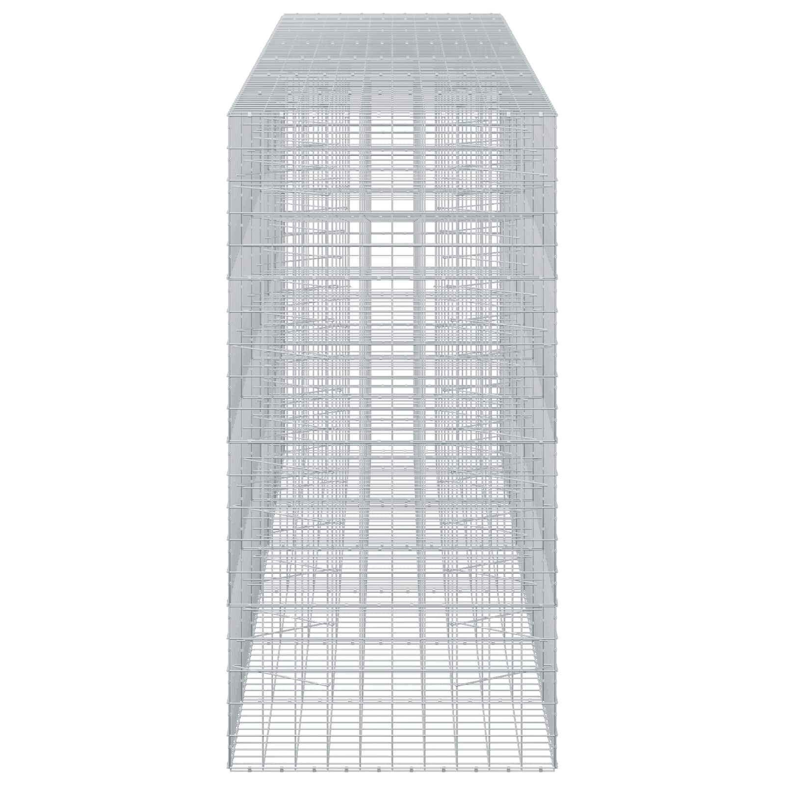 Gabion z žico 3,5 mm in mrežo 10x10 cm 650x100x200 cm