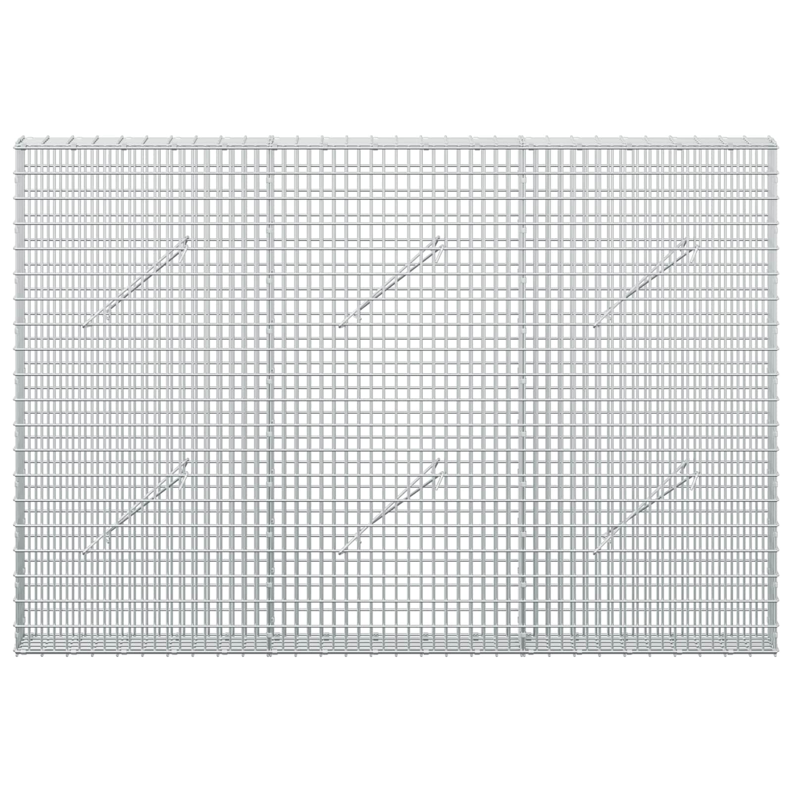 Γκαμπιόν με σύρμα 5 mm και πλέγμα 5x2,5 cm 150x10x100 εκ - Image 3