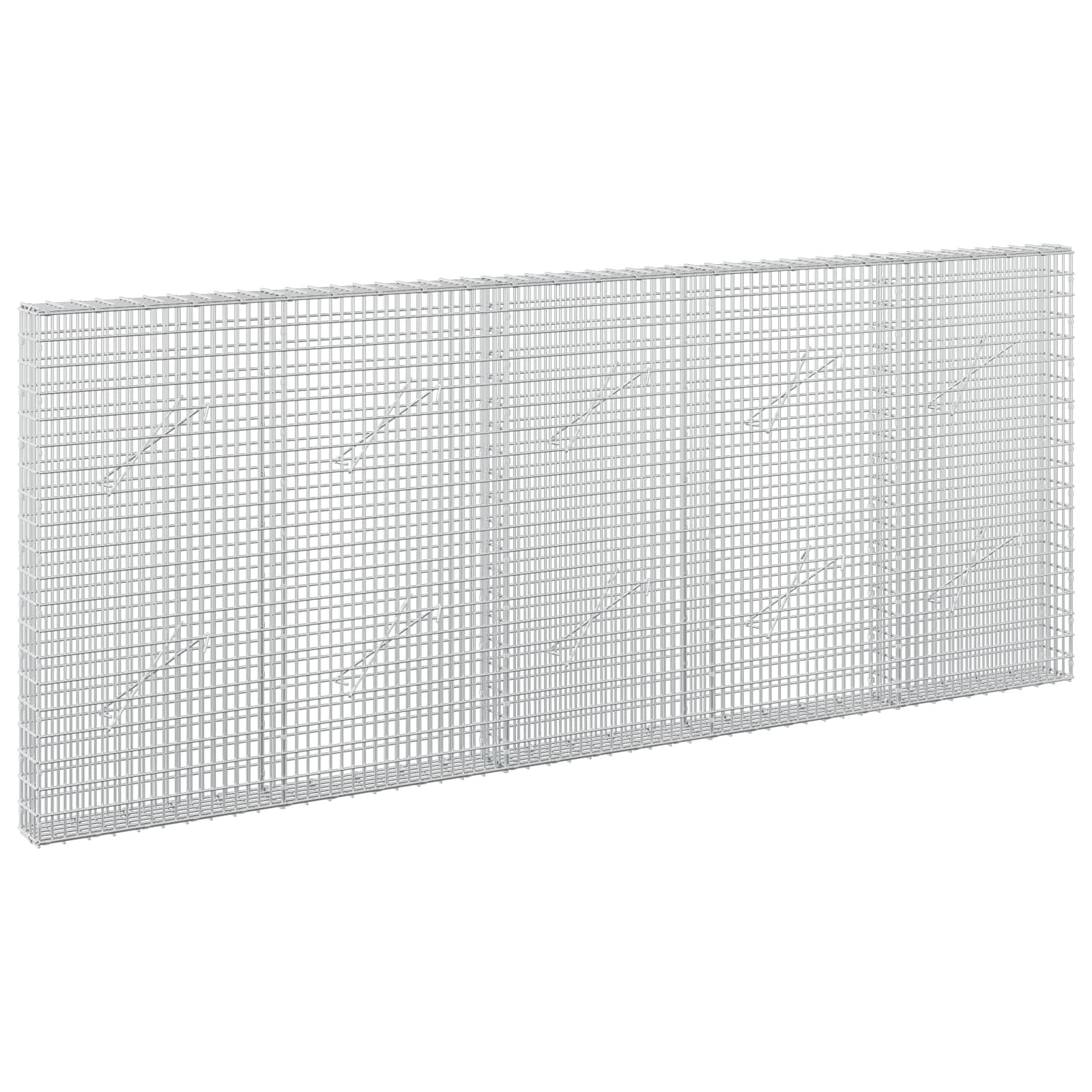 vidaXL Gabion s drátem 5 mm a síťkou 5x2,5 cm 250x10x100 cm
