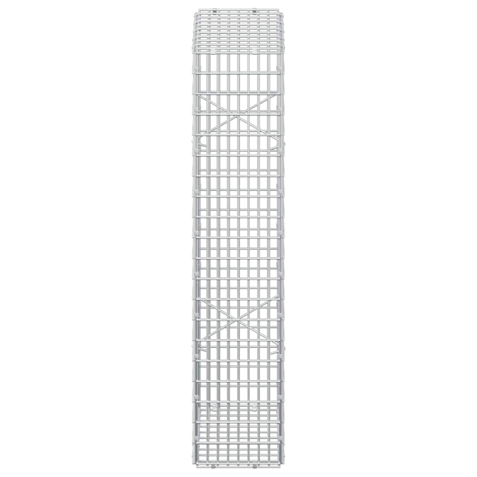 Gabion z žico 5 mm in mrežo 5x2,5 cm 50x20x100 cm