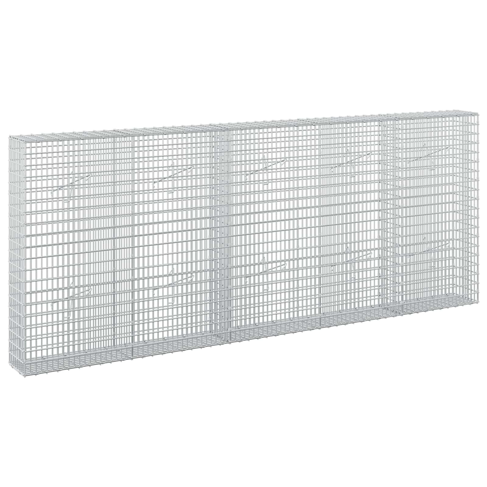 vidaXL Gabion s drátem 5 mm a síťkou 5x2,5 cm 250x20x100 cm