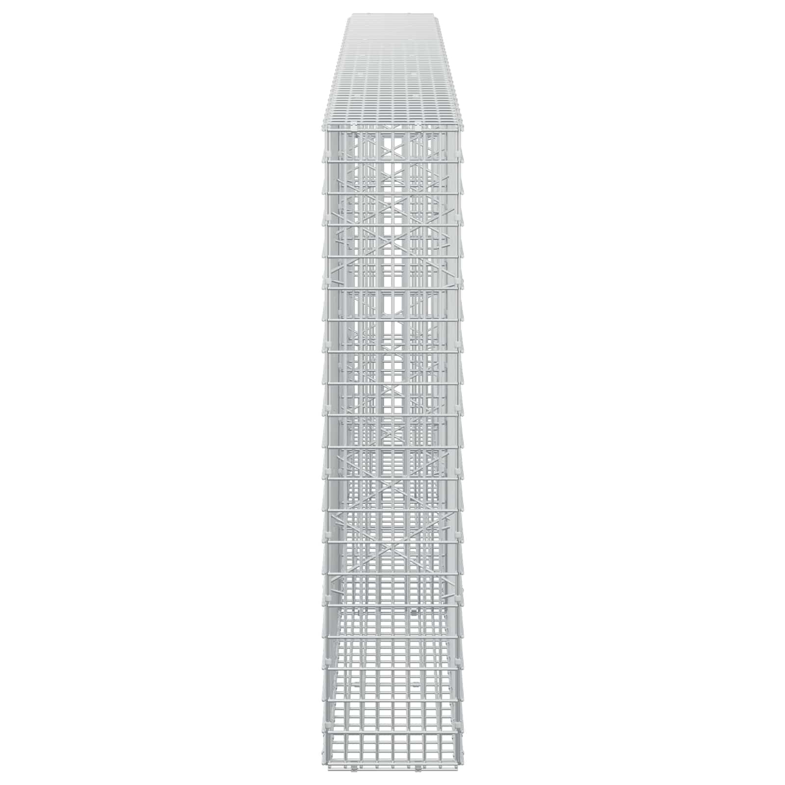 Gabion z žico 5 mm in mrežo 5x2,5 cm 300x20x100 cm