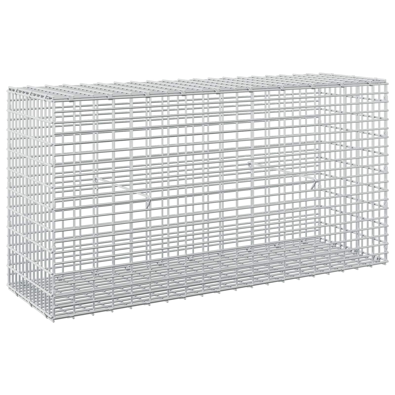 Gabion z žico 5 mm in mrežo 5x2,5 cm 100x30x50 cm