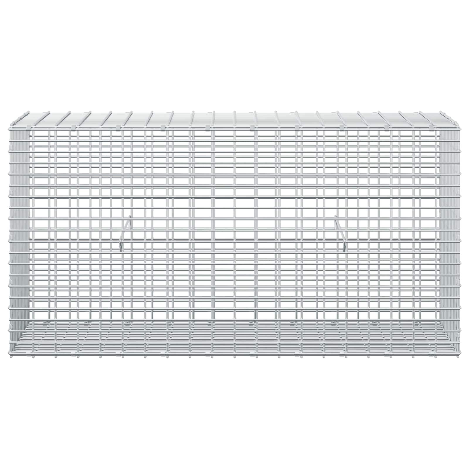 Gabion z žico 5 mm in mrežo 5x2,5 cm 100x30x50 cm