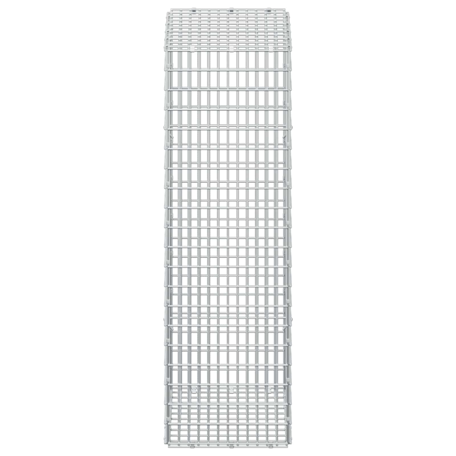 Gabion z žico 5 mm in mrežo 5x2,5 cm 50x30x100 cm
