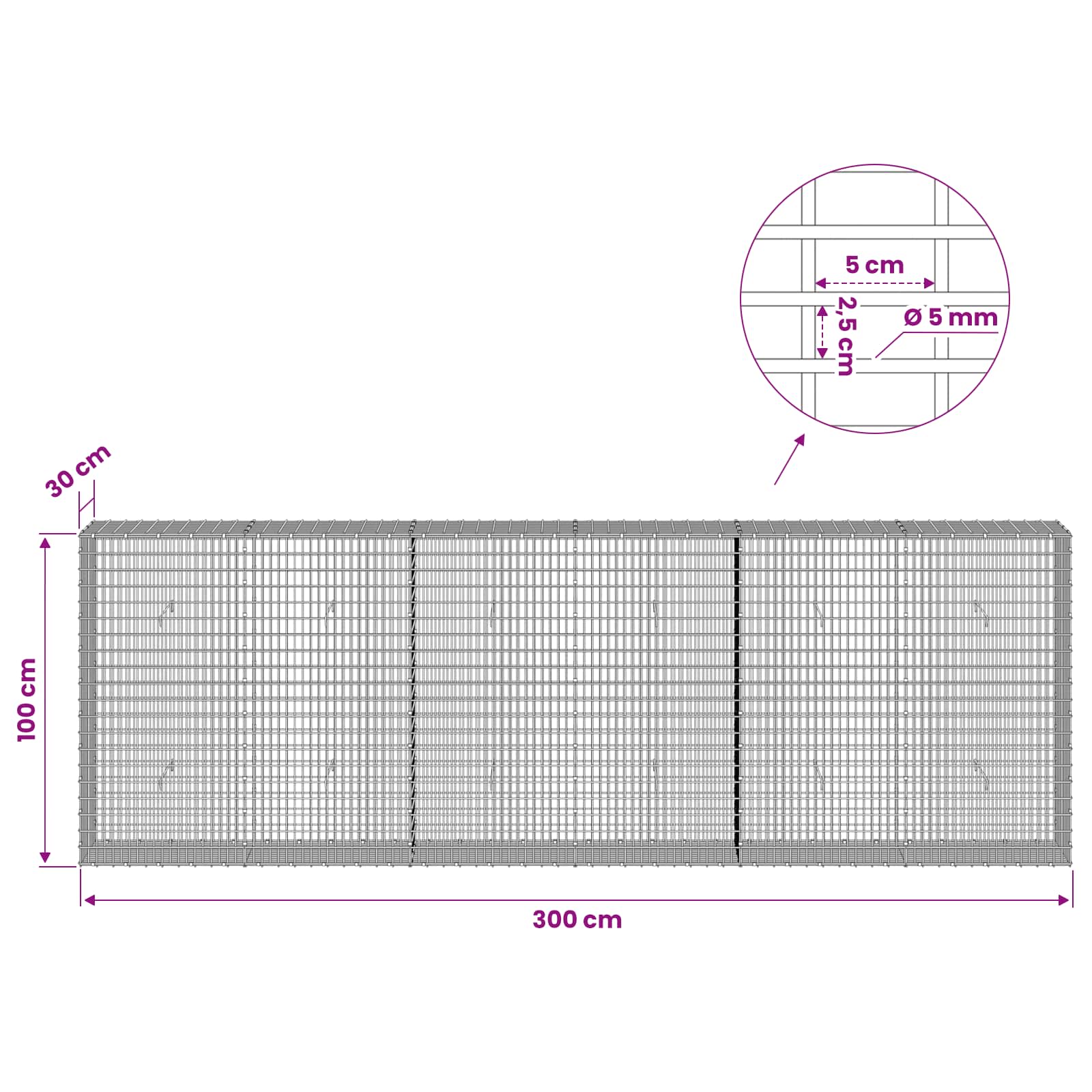 Gabion z žico 5 mm in mrežo 5x2,5 cm 300x30x100 cm