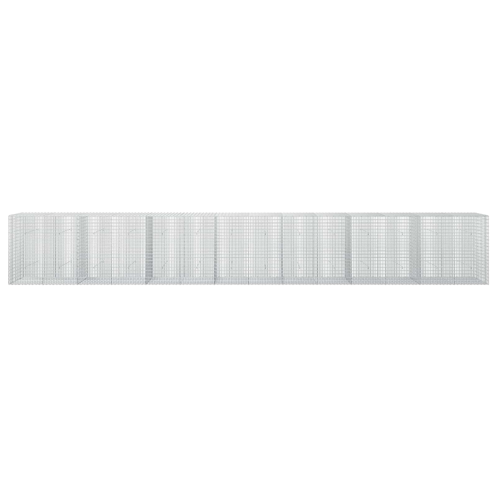 Γκαμπιόν με σύρμα 5 mm και πλέγμα 5x2,5 cm 700x30x100 εκ - Image 3