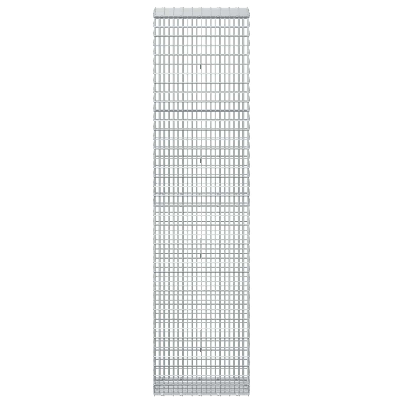 Γκαμπιόν με σύρμα 5 mm και πλέγμα 5x2,5 cm 50x30x200 εκ - Image 3