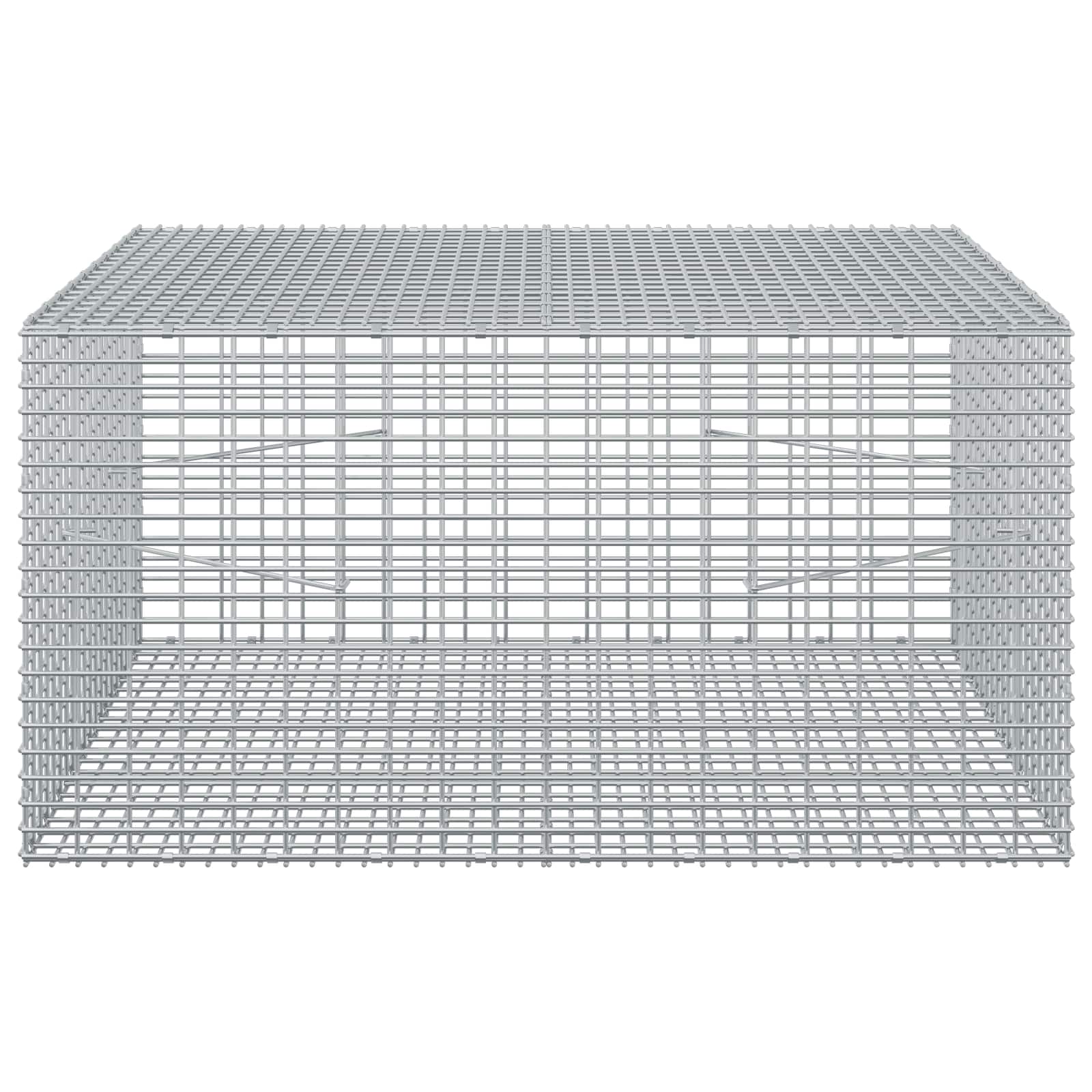 Gabion z žico 5 mm in mrežo 5x2,5 cm 100x100x50 cm
