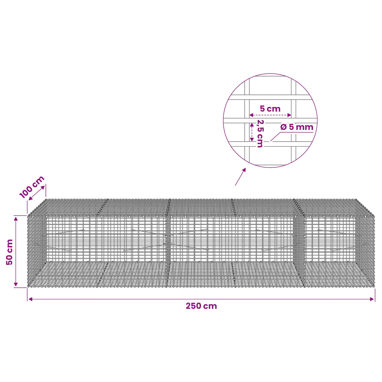Gabion z žico 5 mm in mrežo 5x2,5 cm 250x100x50 cm