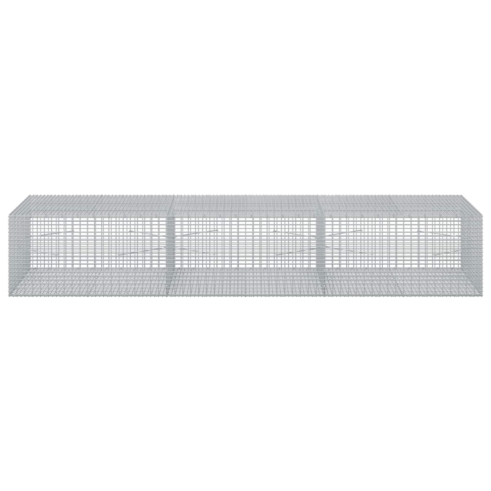 Gabion z žico 5 mm in mrežo 5x2,5 cm 300x100x50 cm