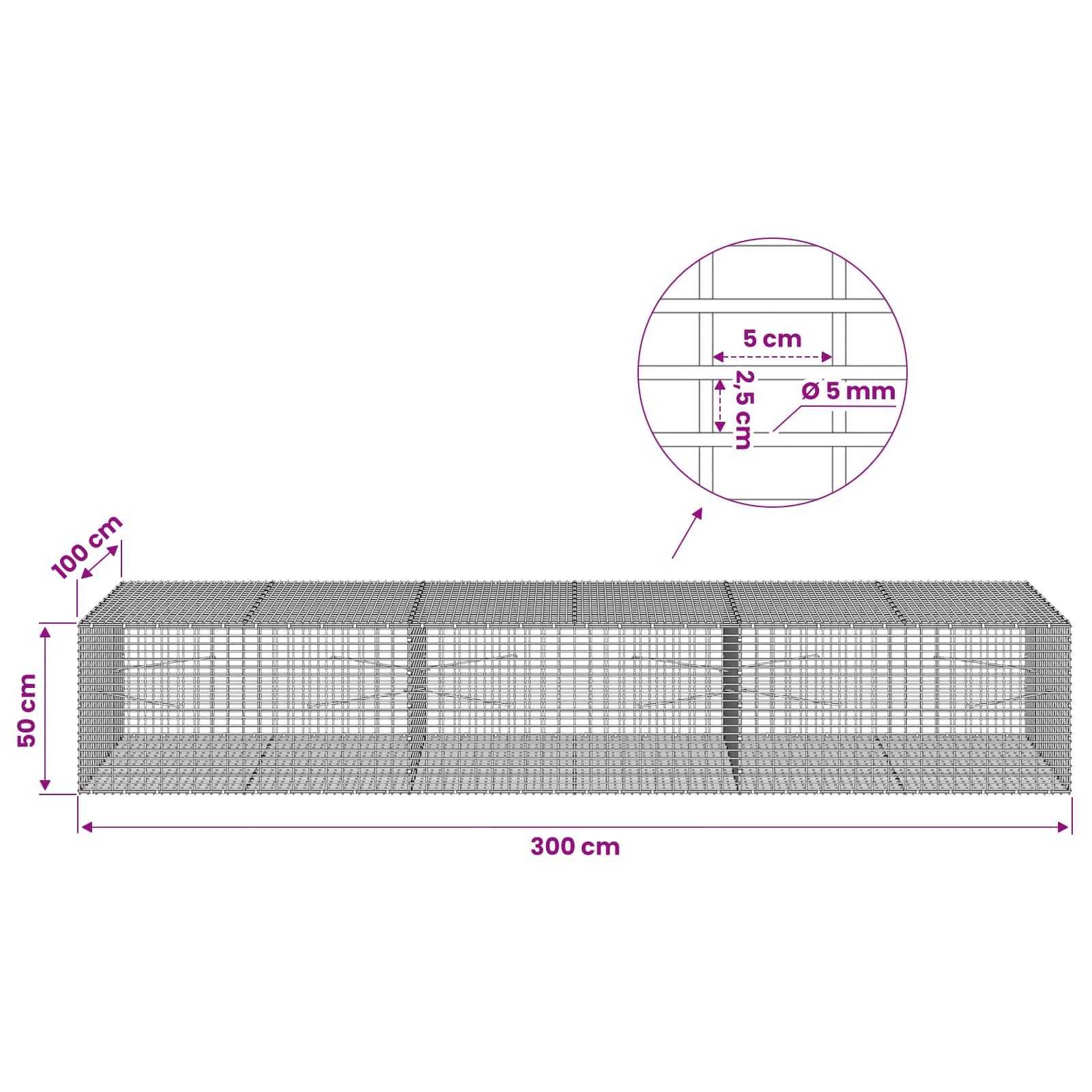 Gabion z žico 5 mm in mrežo 5x2,5 cm 300x100x50 cm