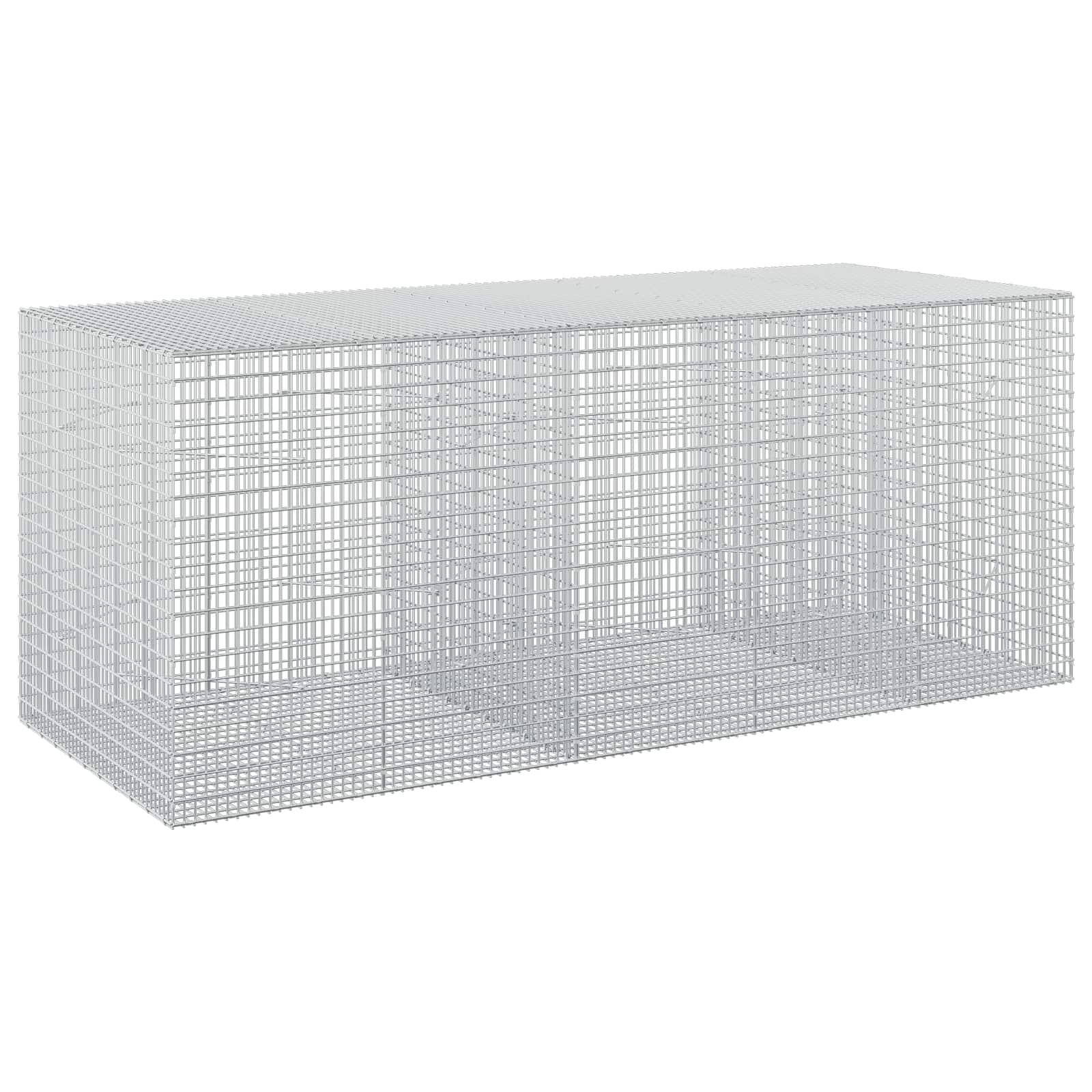 vidaXL Gabion s drátem 5 mm a síťkou 5x2,5 cm 250x100x100 cm
