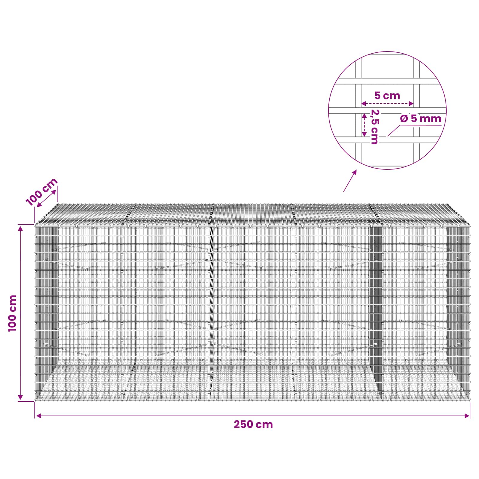 Gabion z žico 5 mm in mrežo 5x2,5 cm 300x100x100 cm