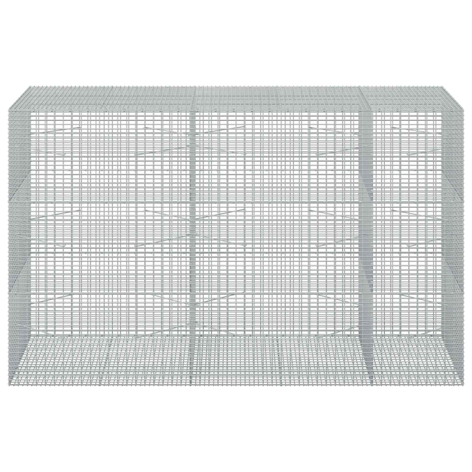 Gabion z žico 5 mm in mrežo 5x2,5 cm 250x100x150 cm