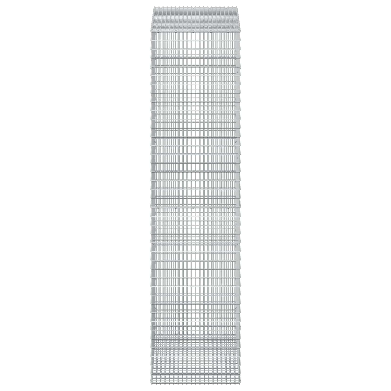 Gabion z žico 5 mm in mrežo 5x2,5 cm 50x100x200 cm
