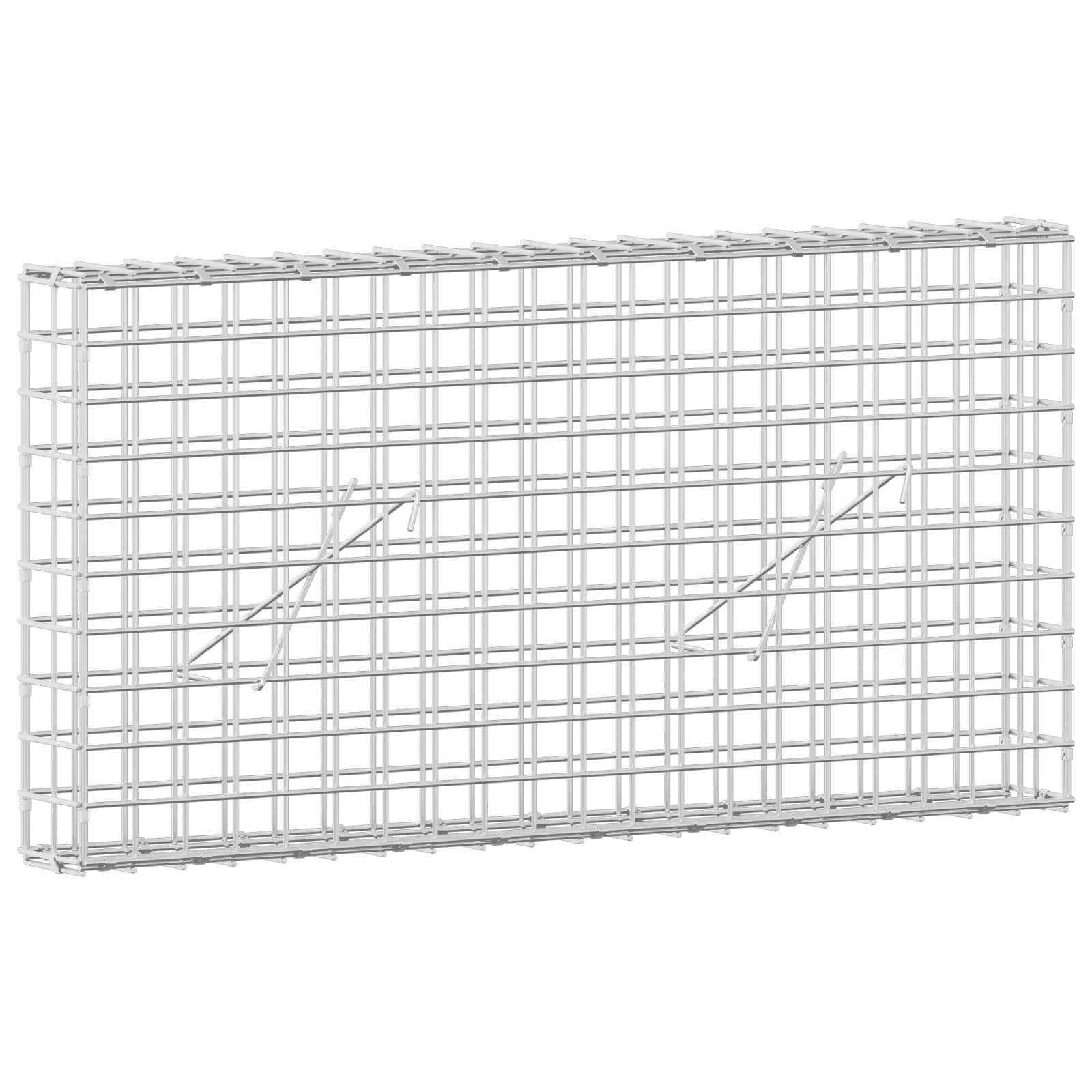 Gabion z žico 5 mm in mrežo 5x5 cm 100x10x50 cm Pocinkano jeklo
