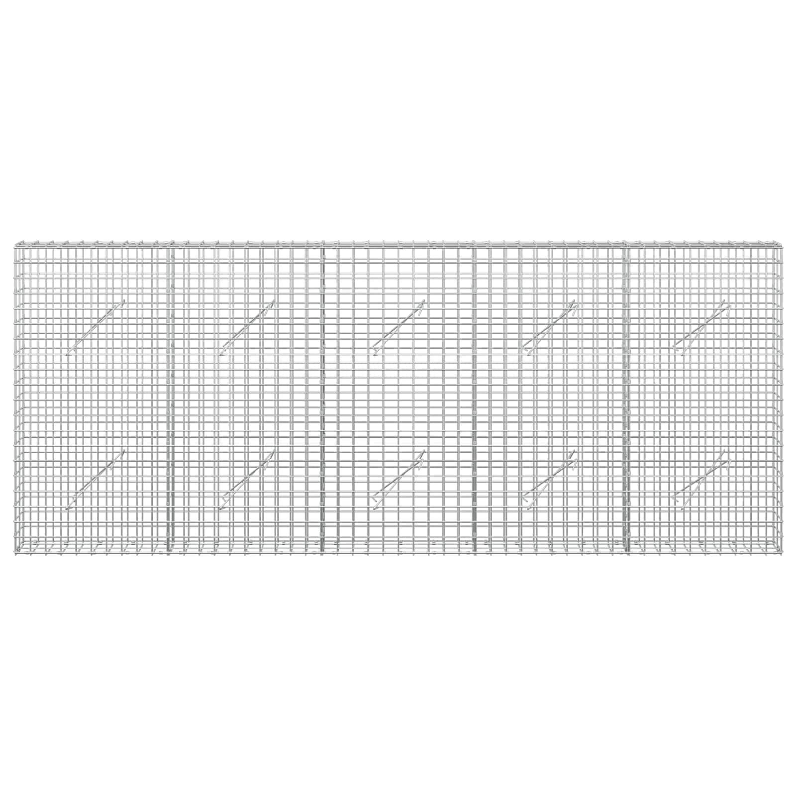 Gabion z žico 5 mm in mrežo 5x5 cm 250x10x100 cm