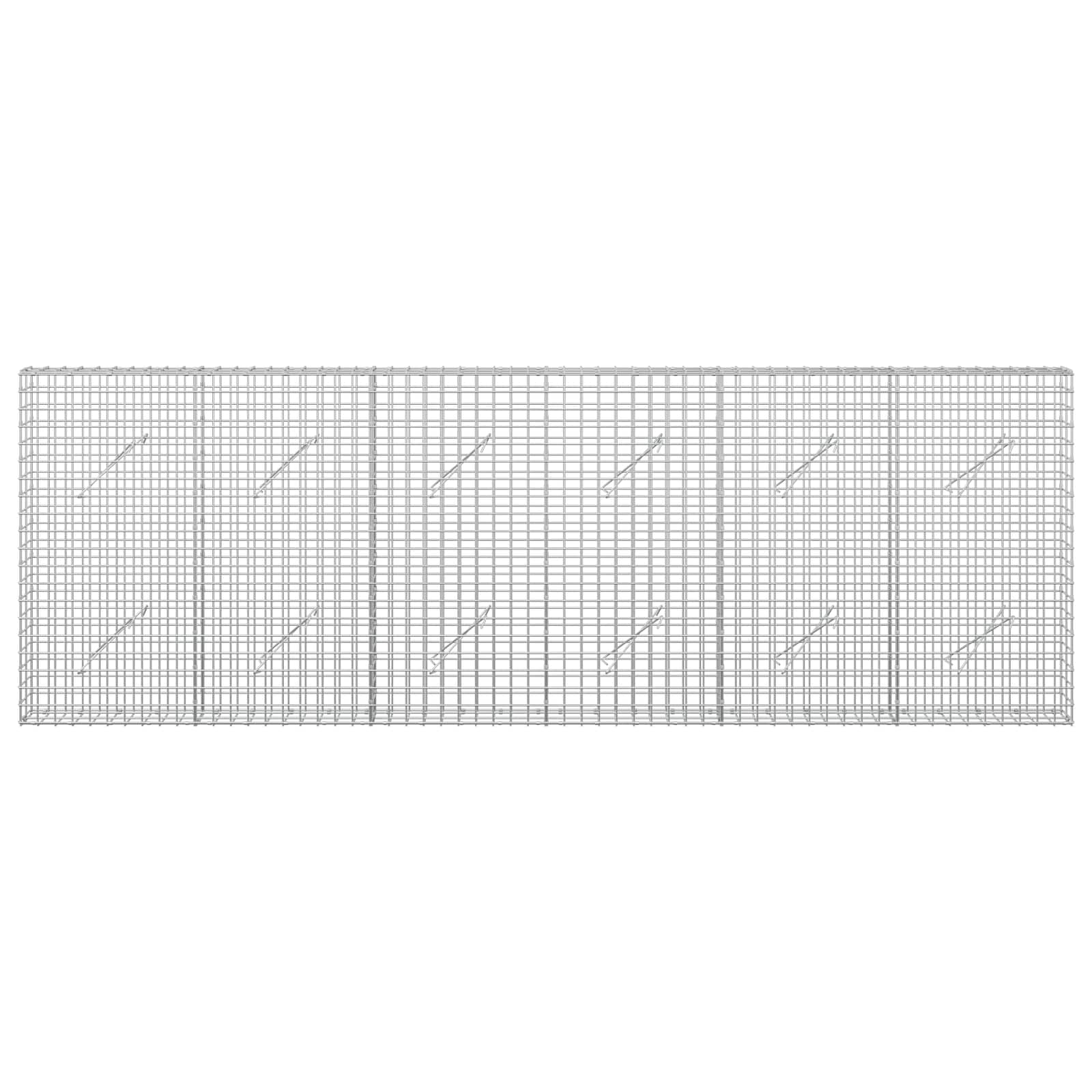 Gabion z žico 5 mm in mrežo 5x5 cm 300x10x100 cm