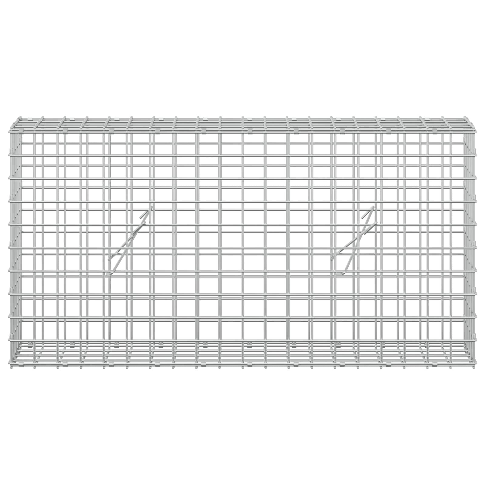 Gabion z žico 5 mm in mrežo 5x5 cm 100x20x50 cm Pocinkano jeklo