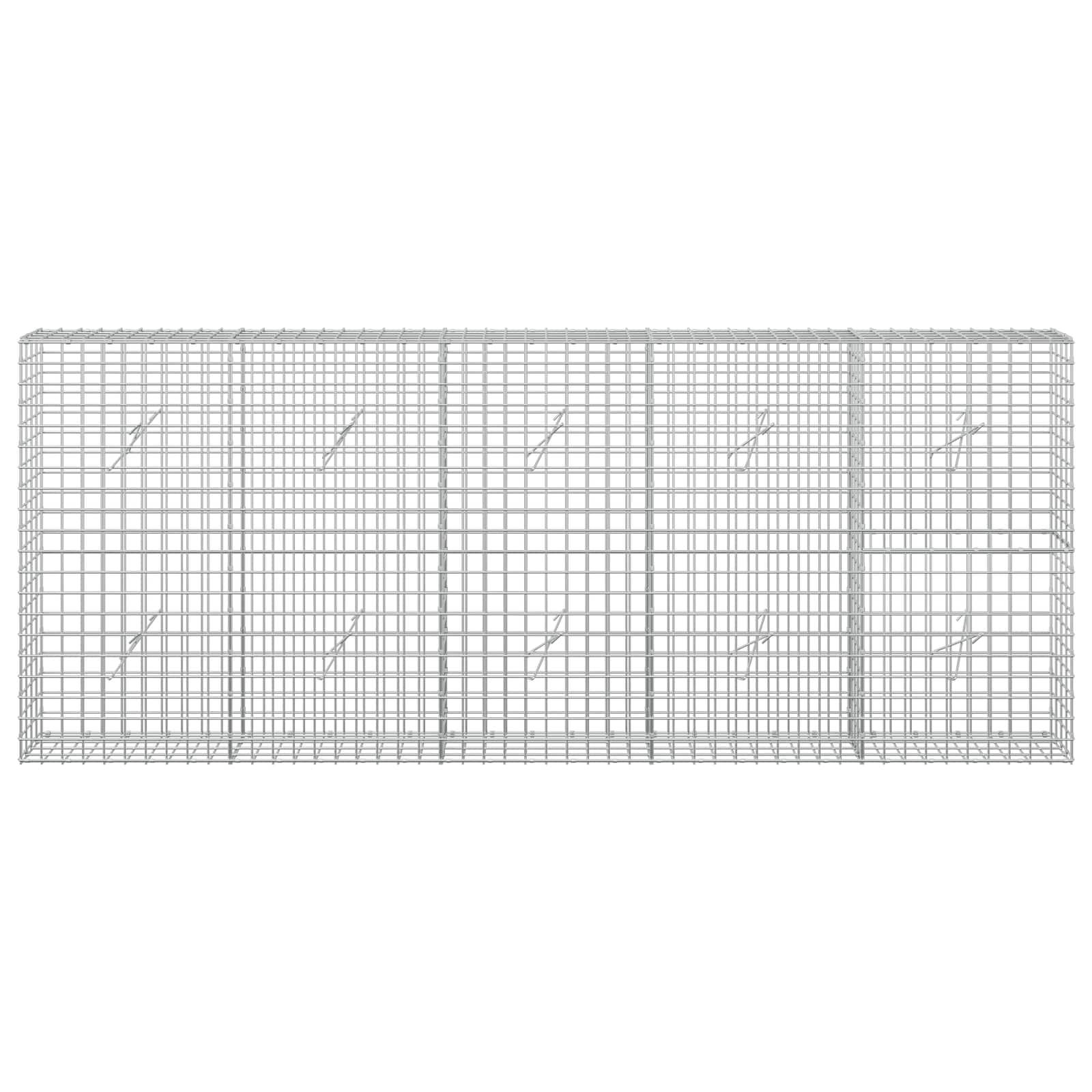 Gabion z žico 5 mm in mrežo 5x5 cm 250x20x100 cm