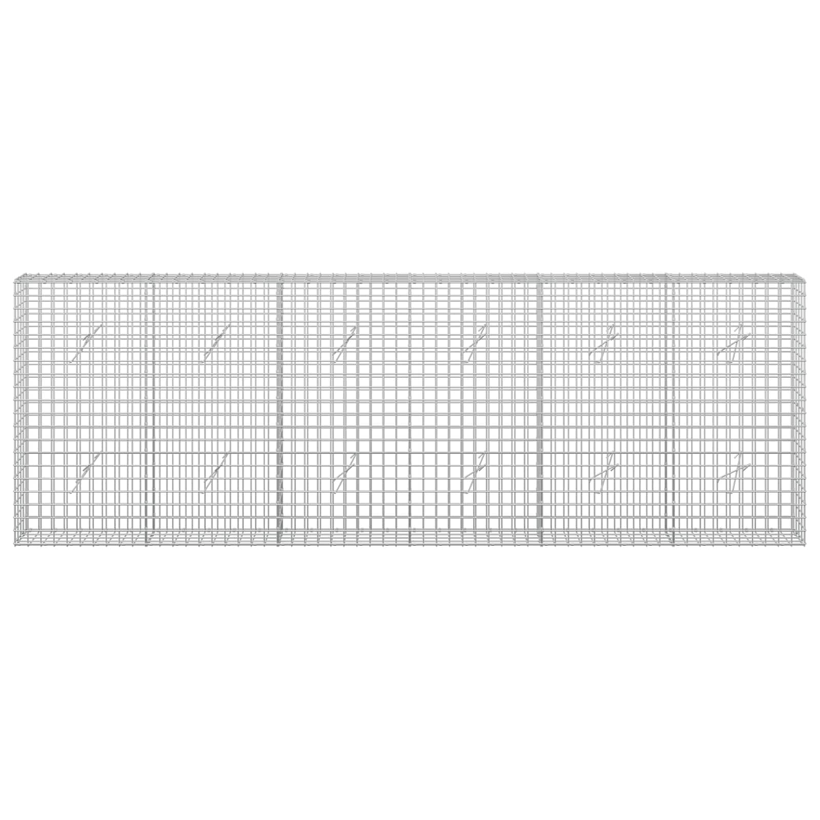 Gabion z žico 5 mm in mrežo 5x5 cm 300x20x100 cm