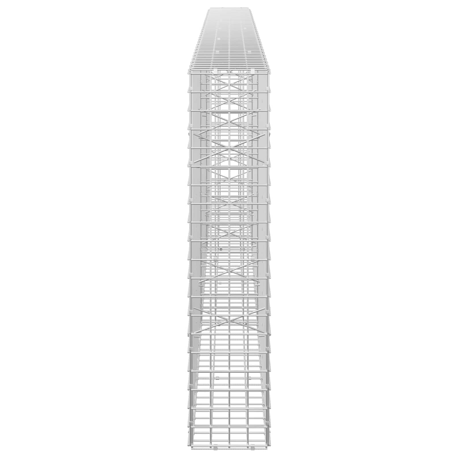 Gabion z žico 5 mm in mrežo 5x5 cm 300x20x100 cm