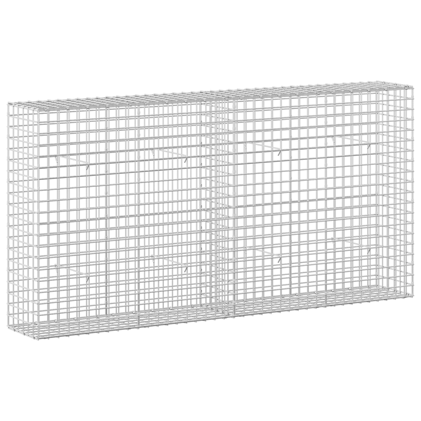 Gabion z žico 5 mm in mrežo 5x5 cm 200x30x100 cm