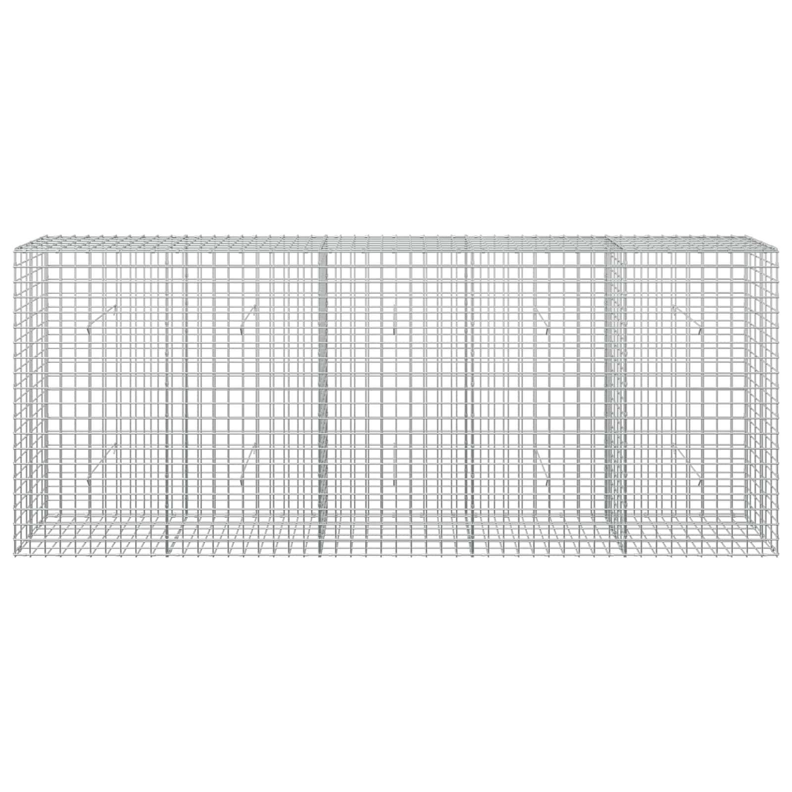 Gabion z žico 5 mm in mrežo 5x5 cm 250x30x100 cm