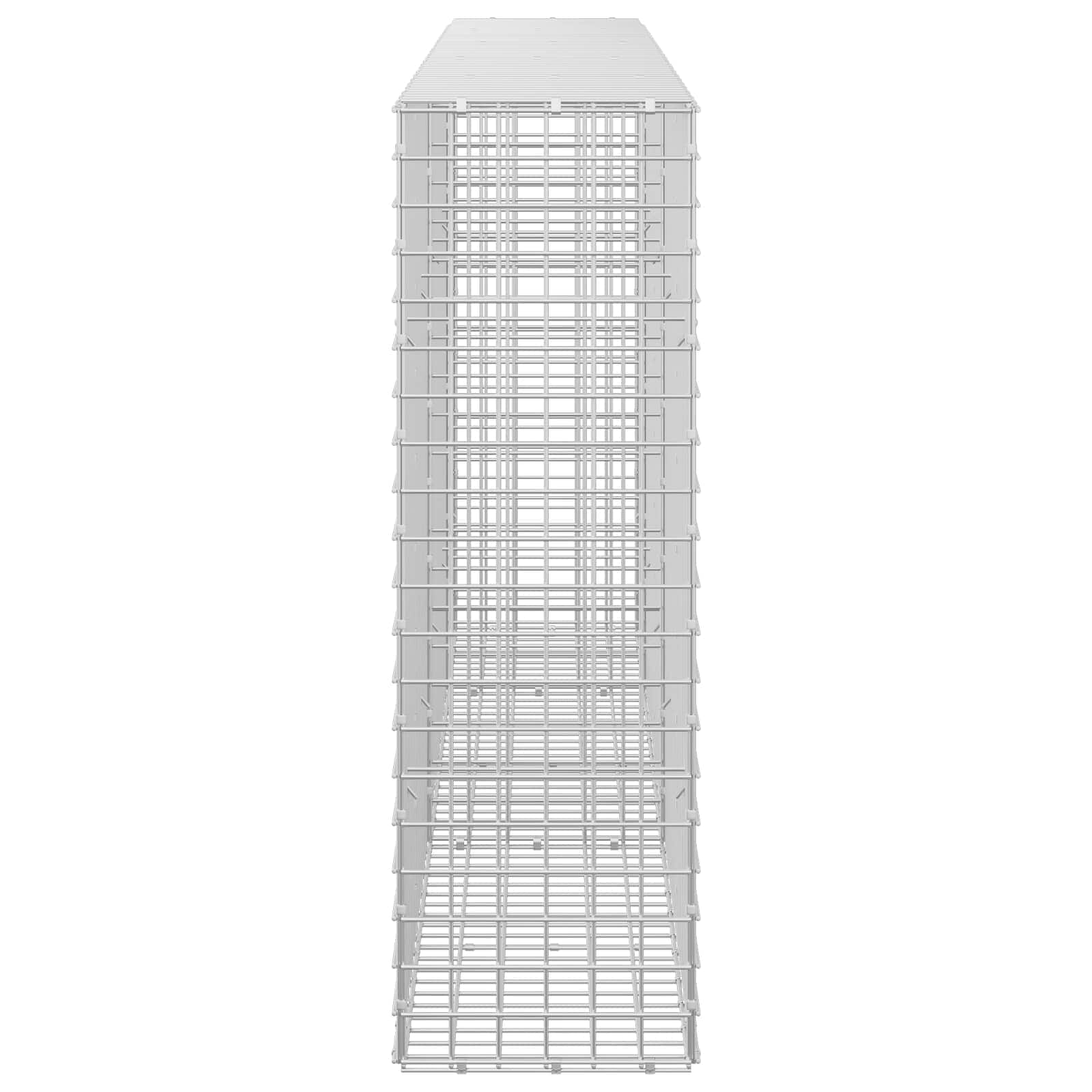 Gabion z žico 5 mm in mrežo 5x5 cm 250x30x100 cm